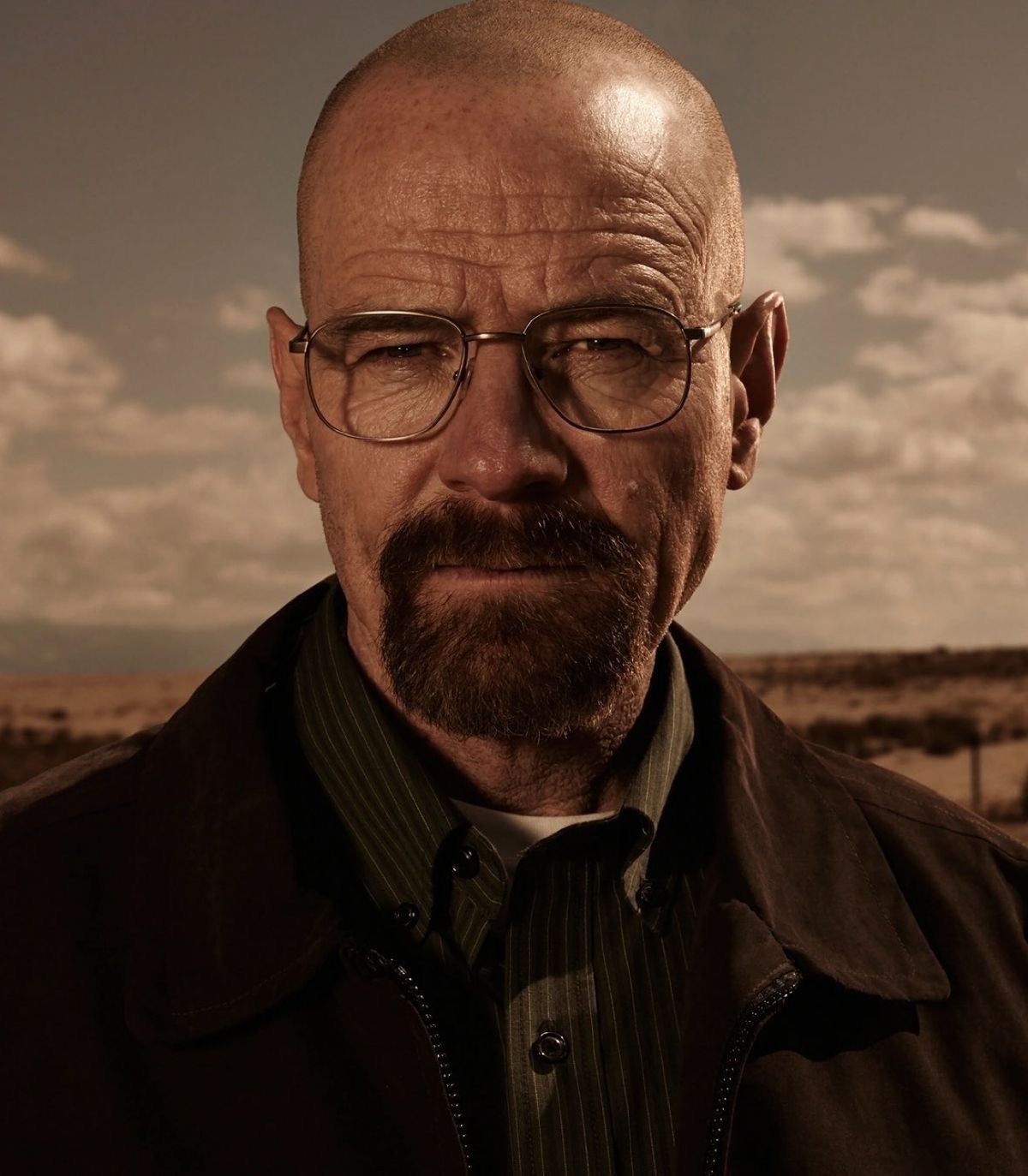 walter white breaking bad