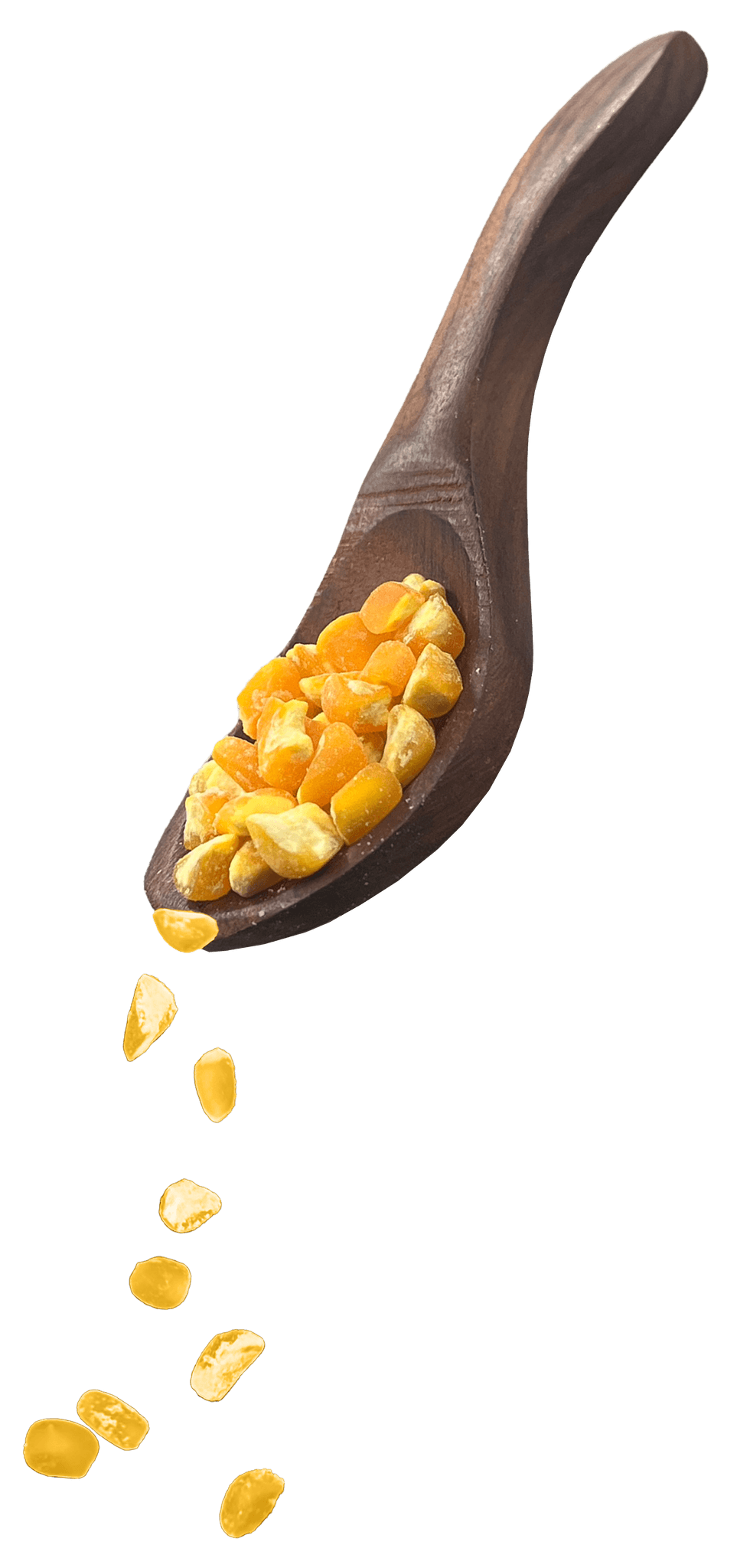 TRISHLA ONE OF INDIA's FINEST CORN GRITS MANUFACTURER