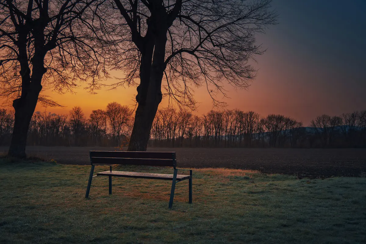 Empty park bench at sunset, suggesting absence and quiet reflection.