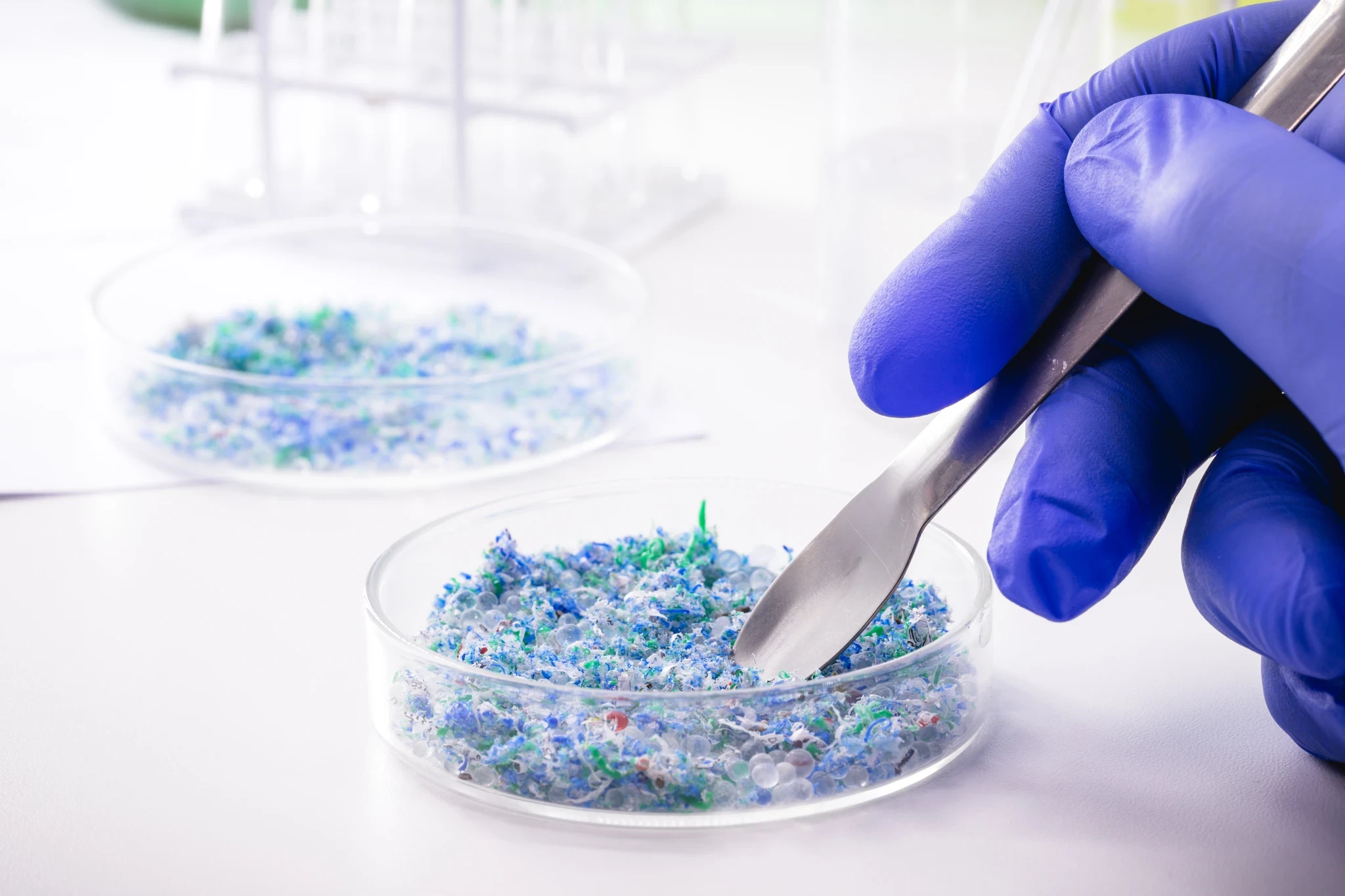 Gloved hand using tweezers to sort shredded blue and green plastic flakes in a petri dish.