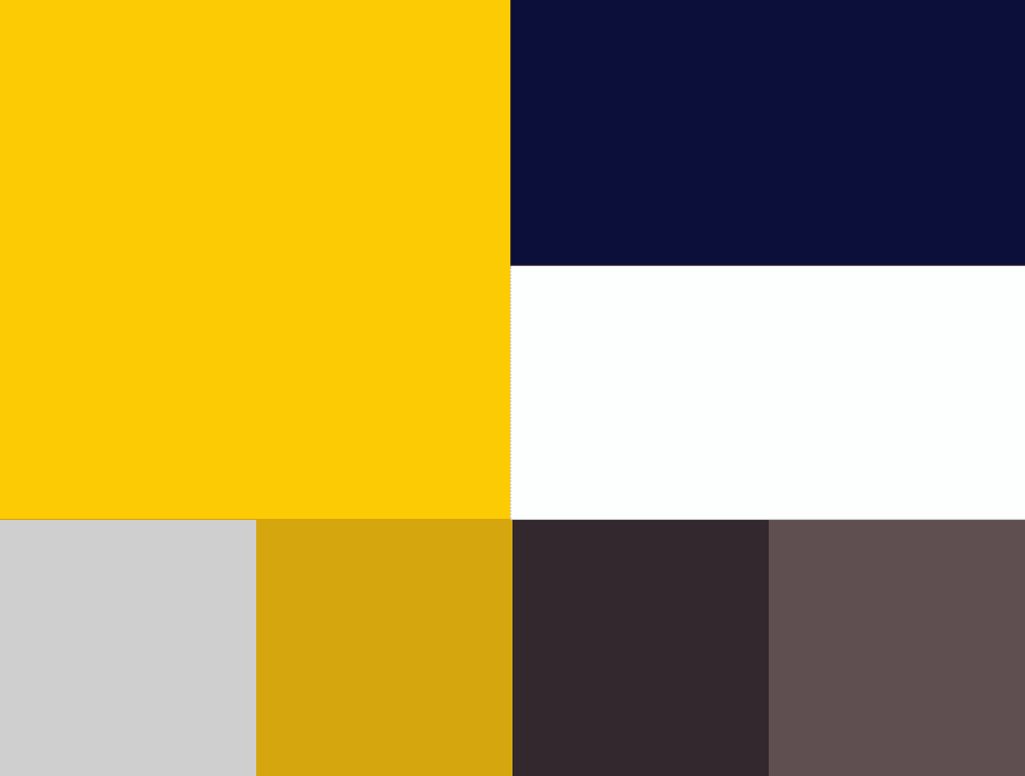 Palette de couleur Squash