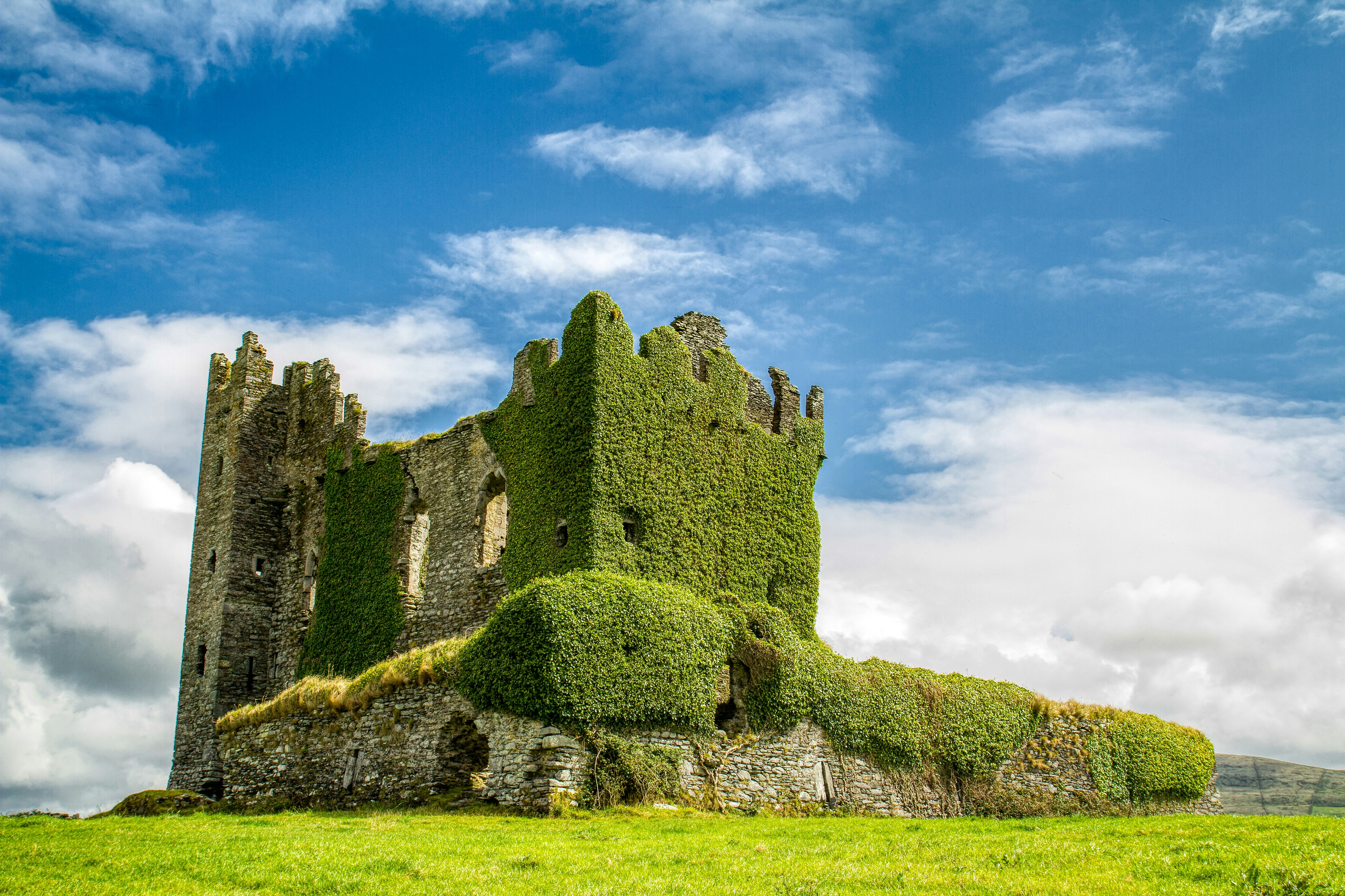 The ruins of a medieval stone castle standing on a bright green grassy hill. Large sections of the grey stone walls are covered in thick, vibrant green ivy under a blue sky filled with wispy white clouds.