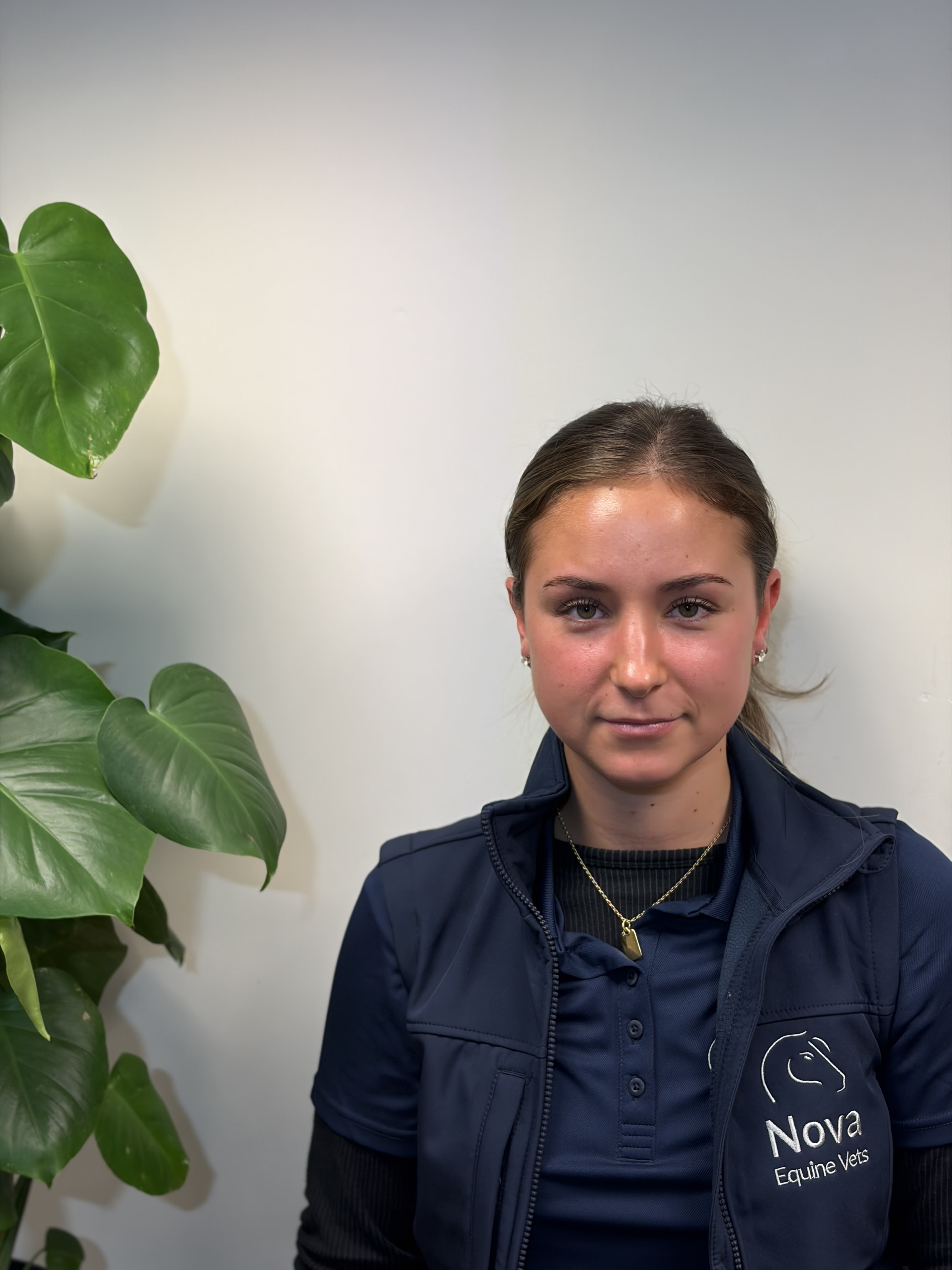 brown horse eating grass during cloudy sky