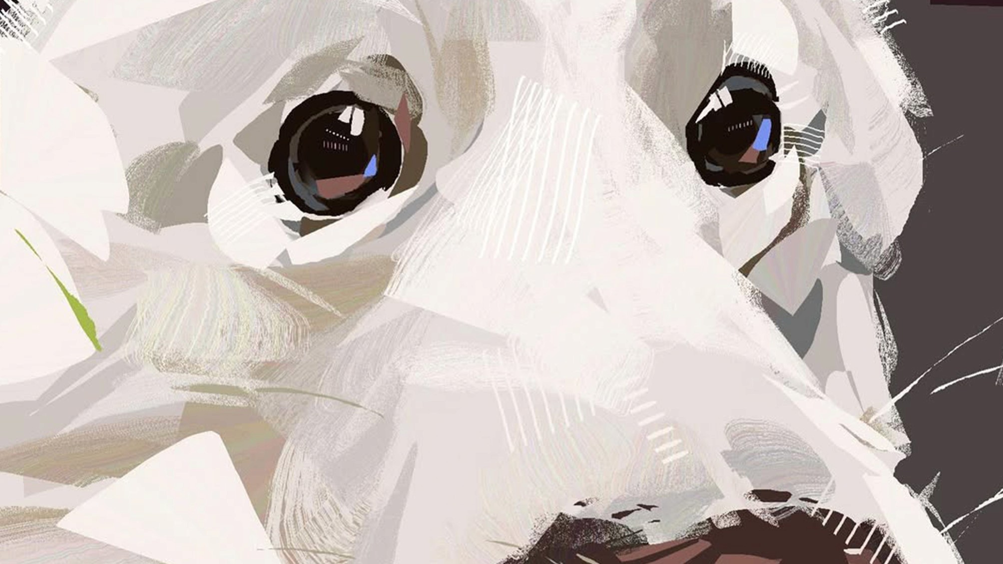 Up close illustration of a dogs nose.