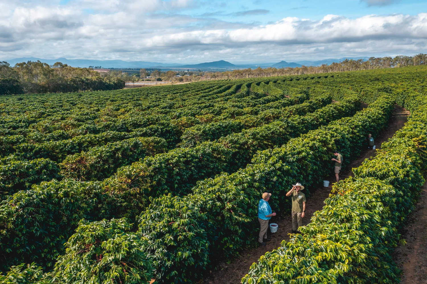 Partner Farms