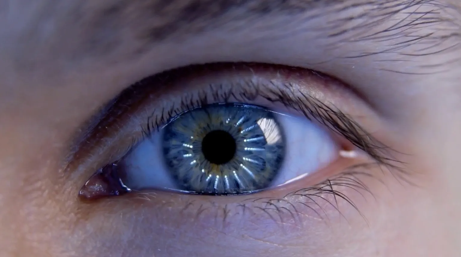 Close up view of the human eye