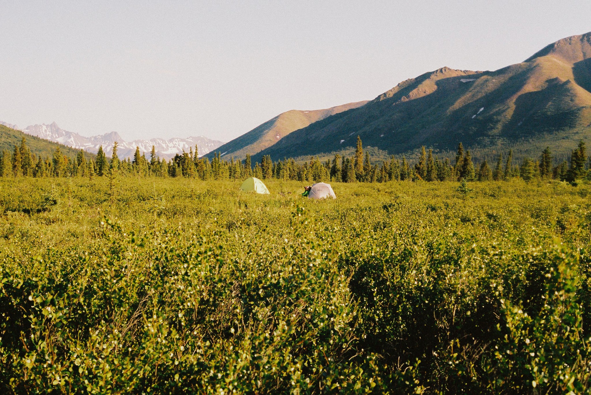 Golden hour in Denational National Park