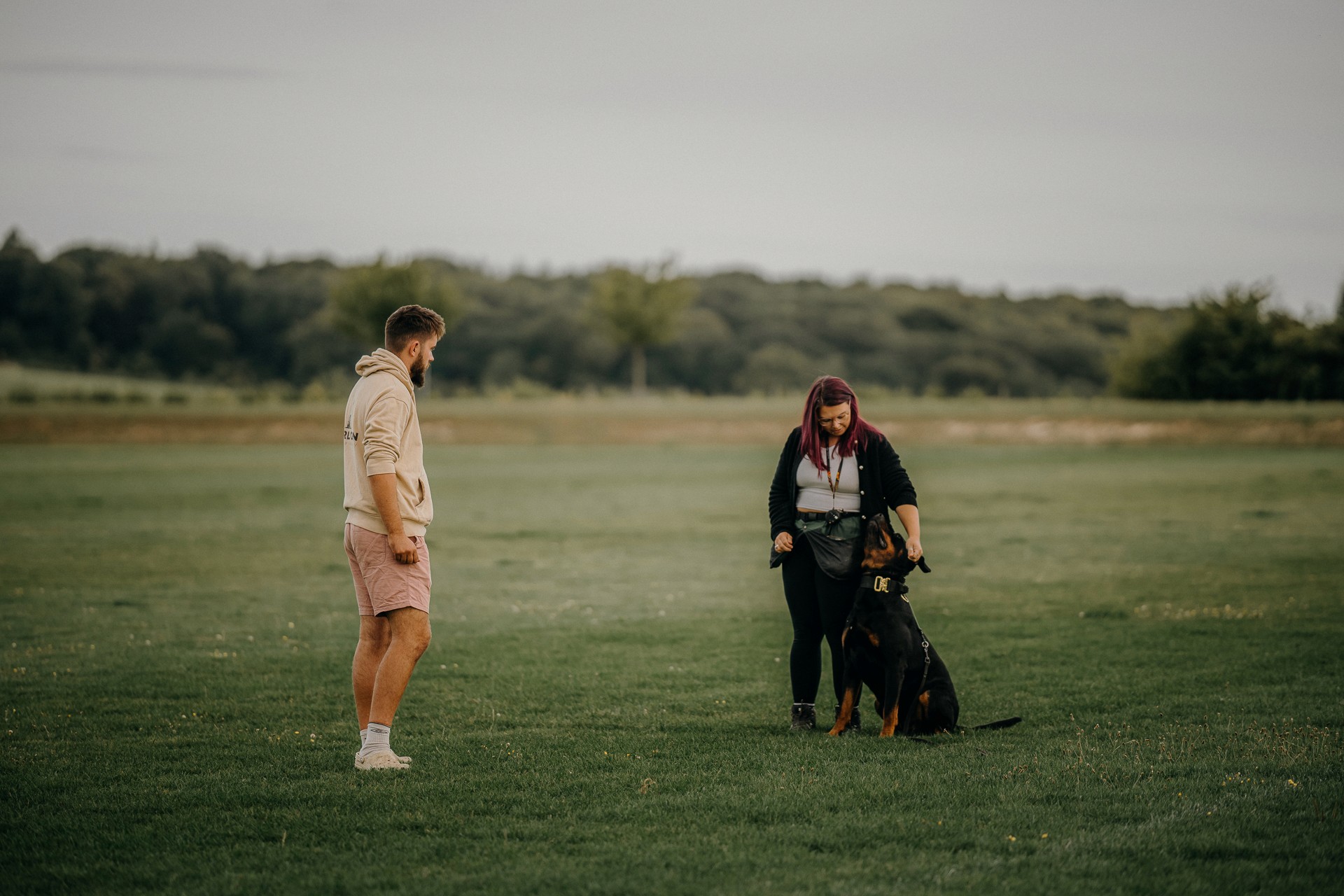 dog owner training his dog