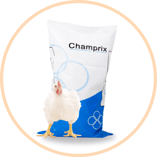 Broiler concentrate