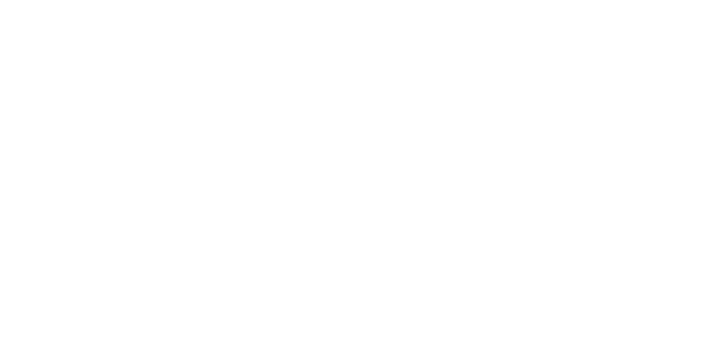 Apex Aviation Advisors