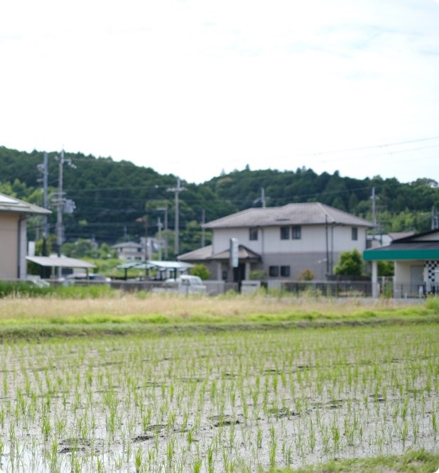 木津川の風景
