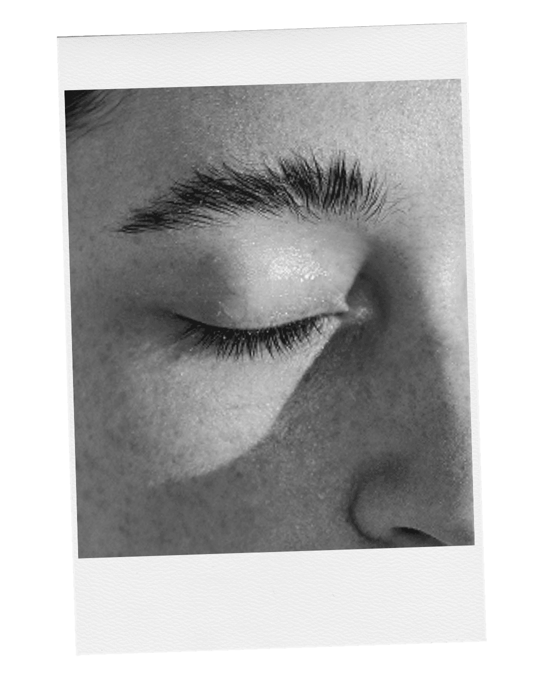 Alto growth primary image