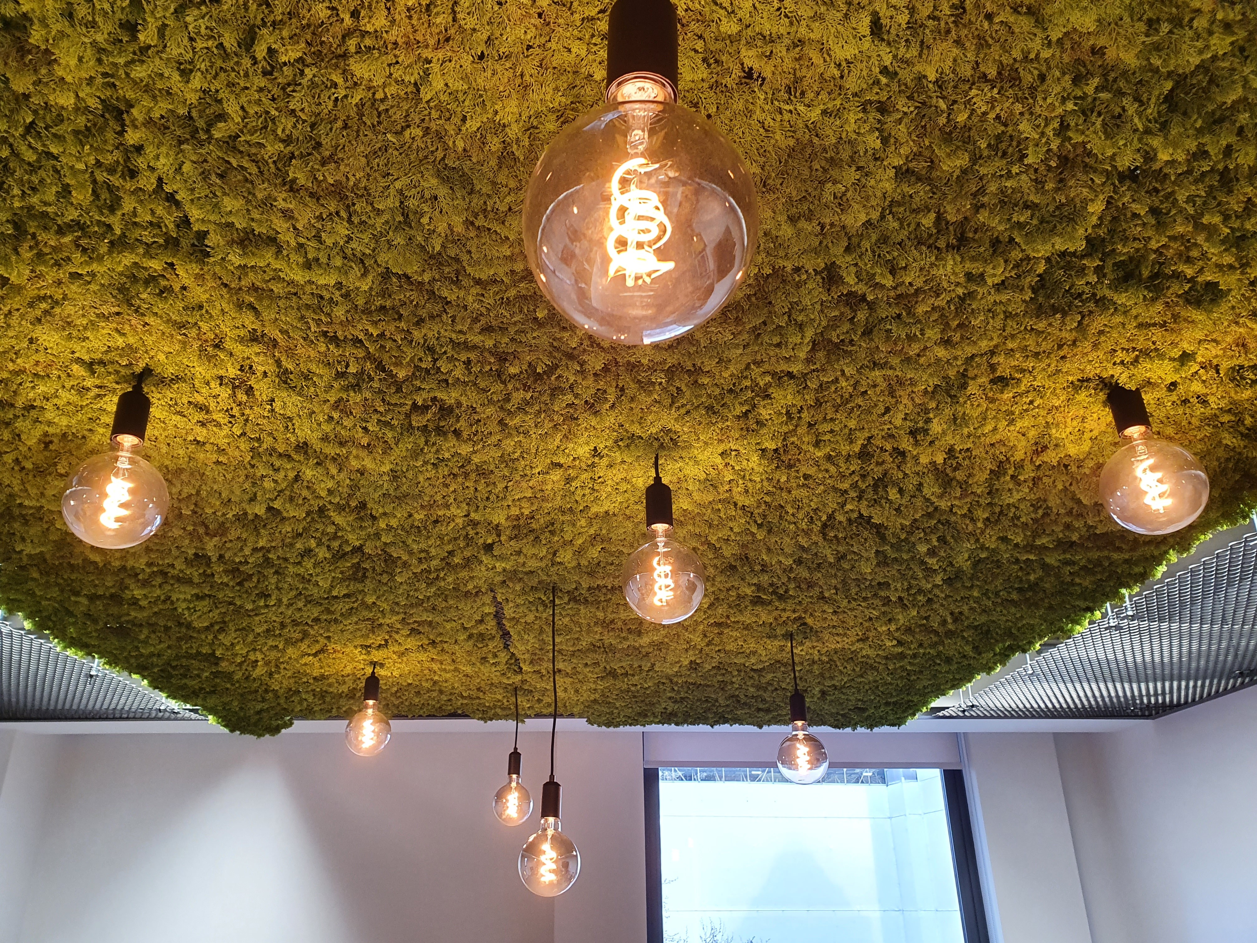 Bespoke planted ceiling raft with feature pendants in workspace