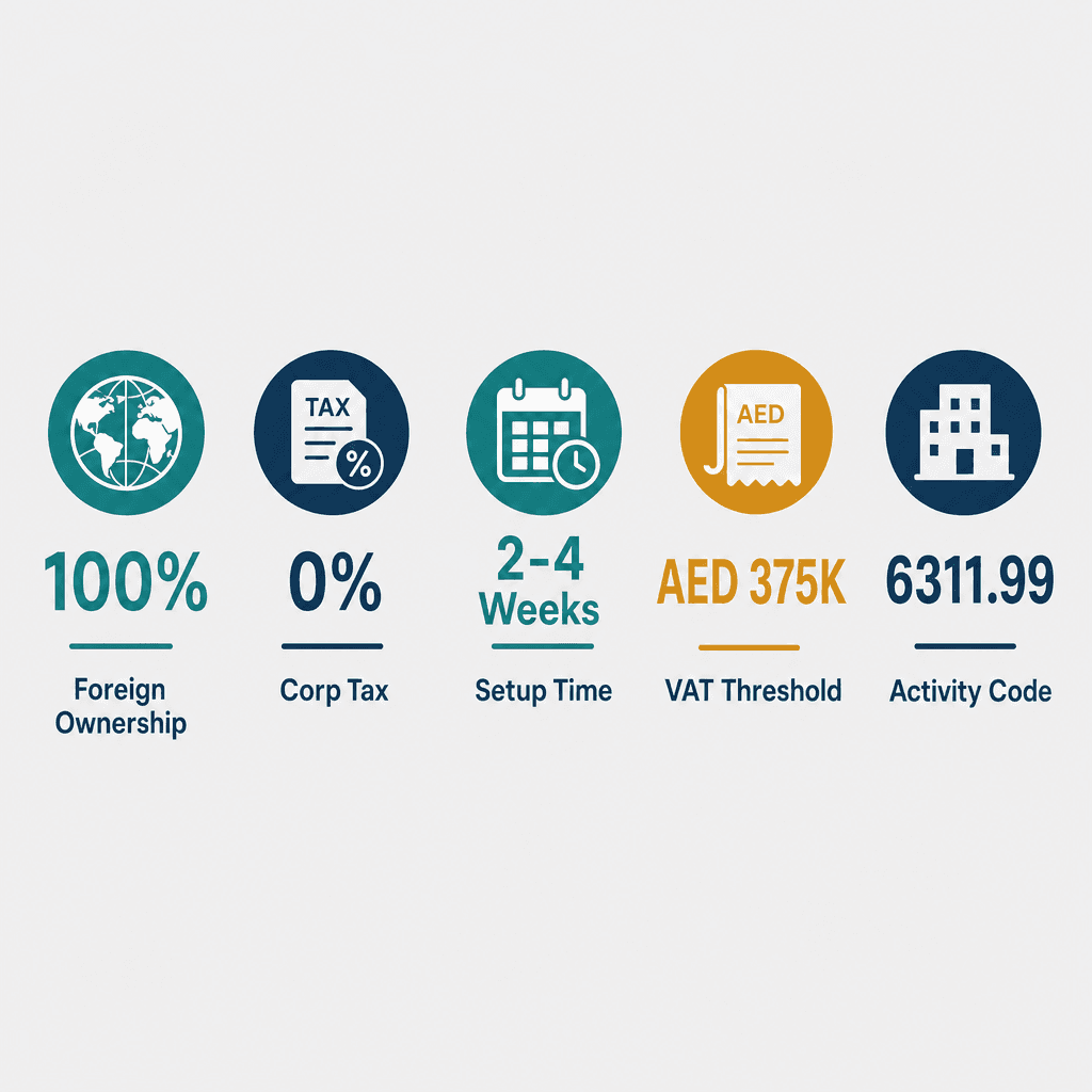 Infographic: How to Get a IT Infrastructure Business License in Dubai