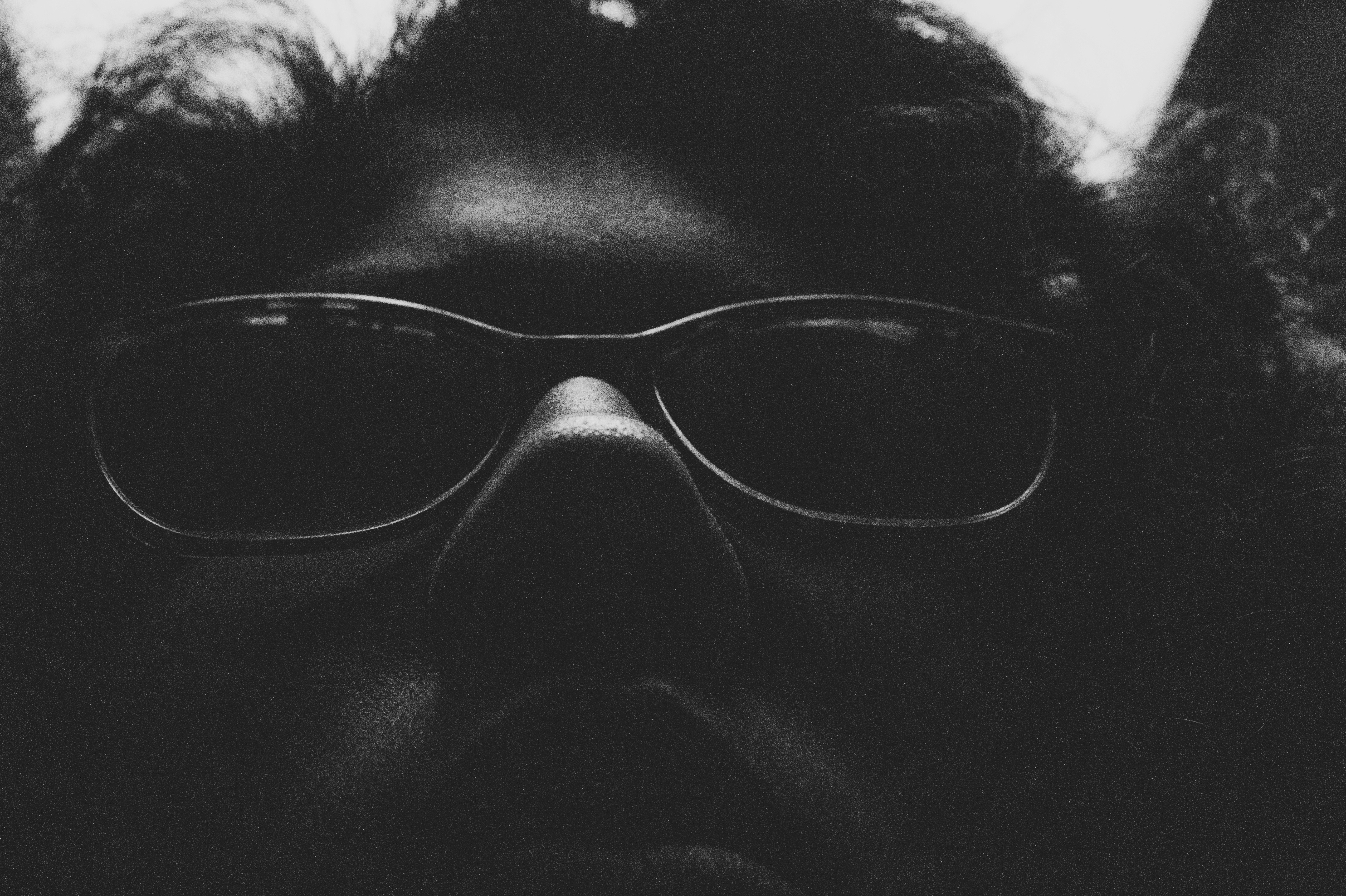 low angle photography of building