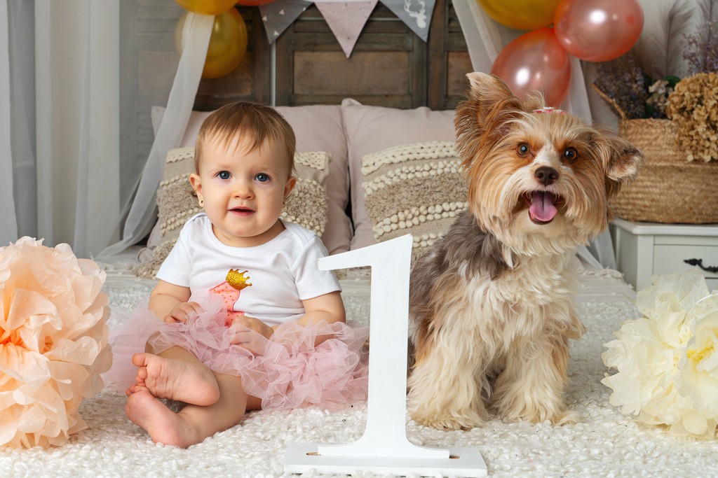 Narozeninové focení s pejskem a rekvizitami, ateliér Praha 9.