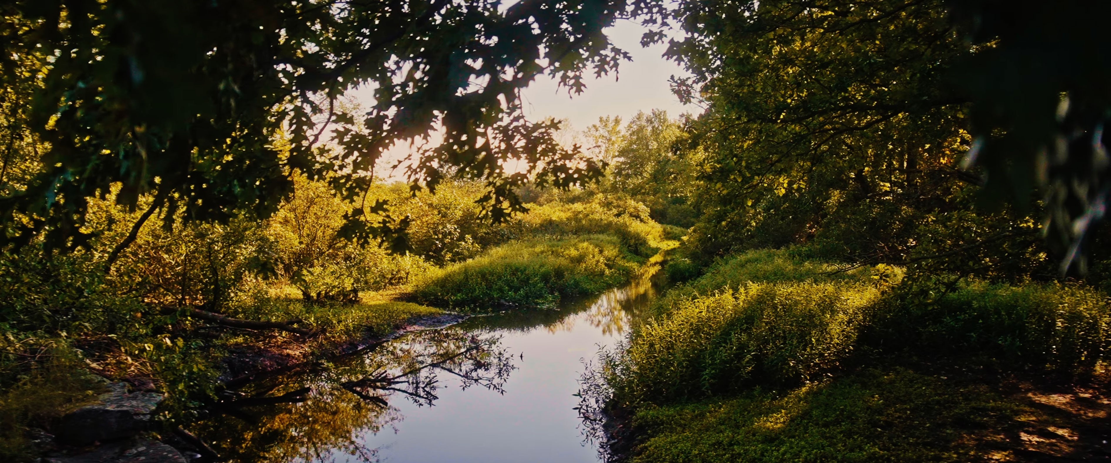 Town River winding through vegetation near Skim Milk Bridge in West Bridgewater, Massachusetts.