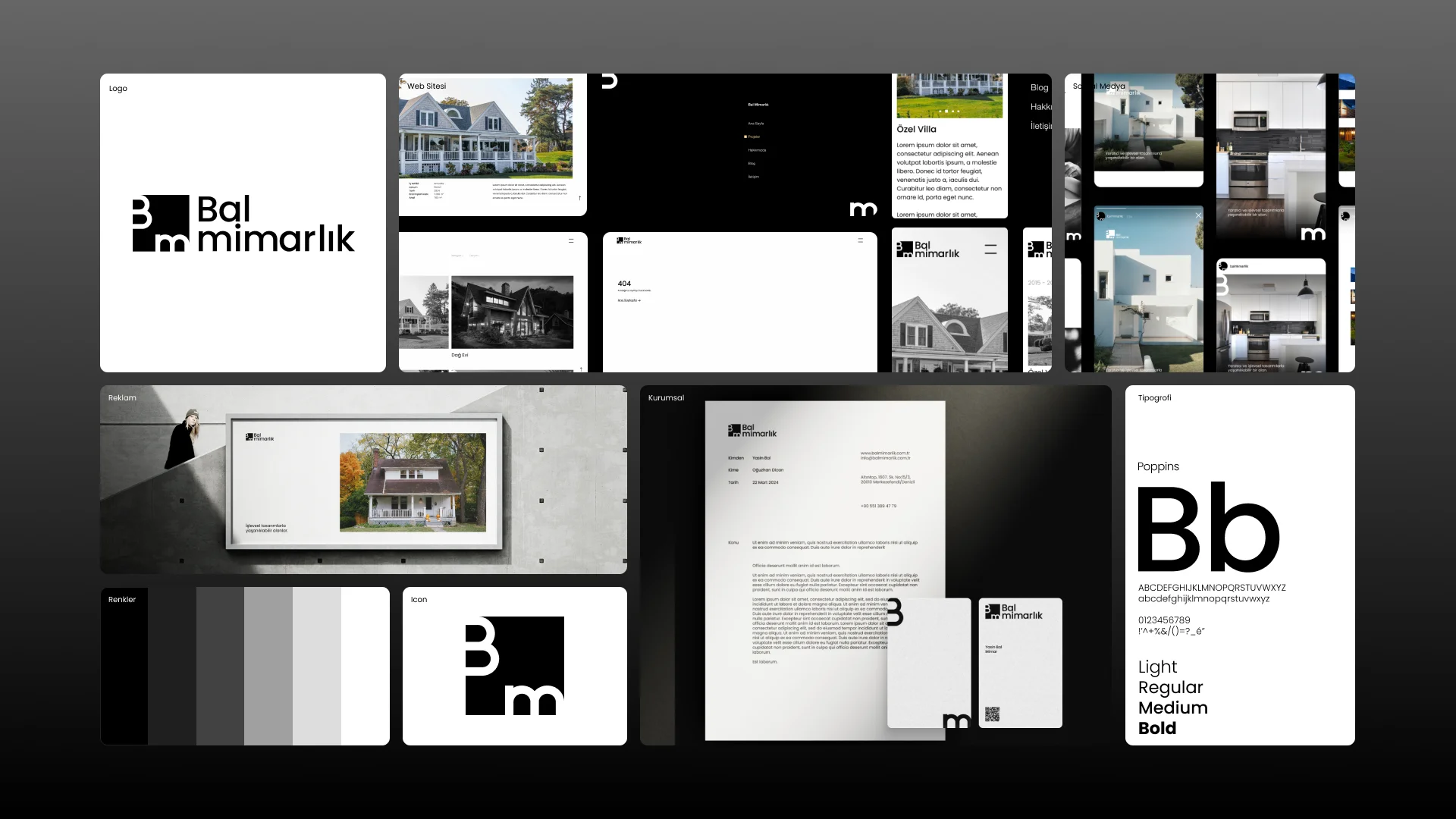Project overview