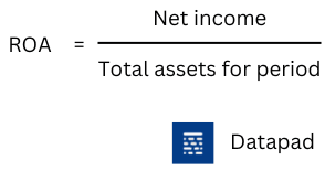 ROA formula 