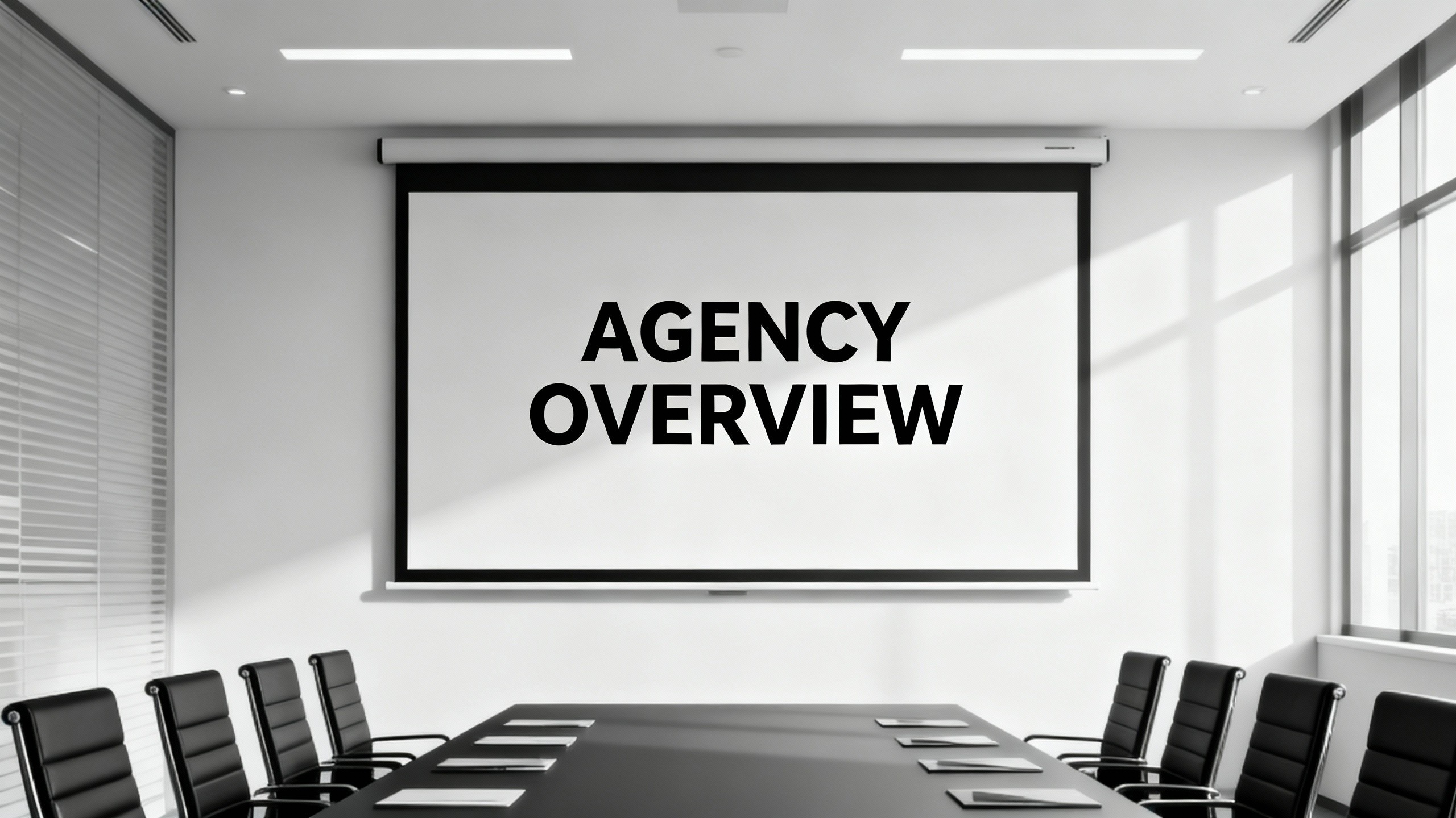 Agency Overview