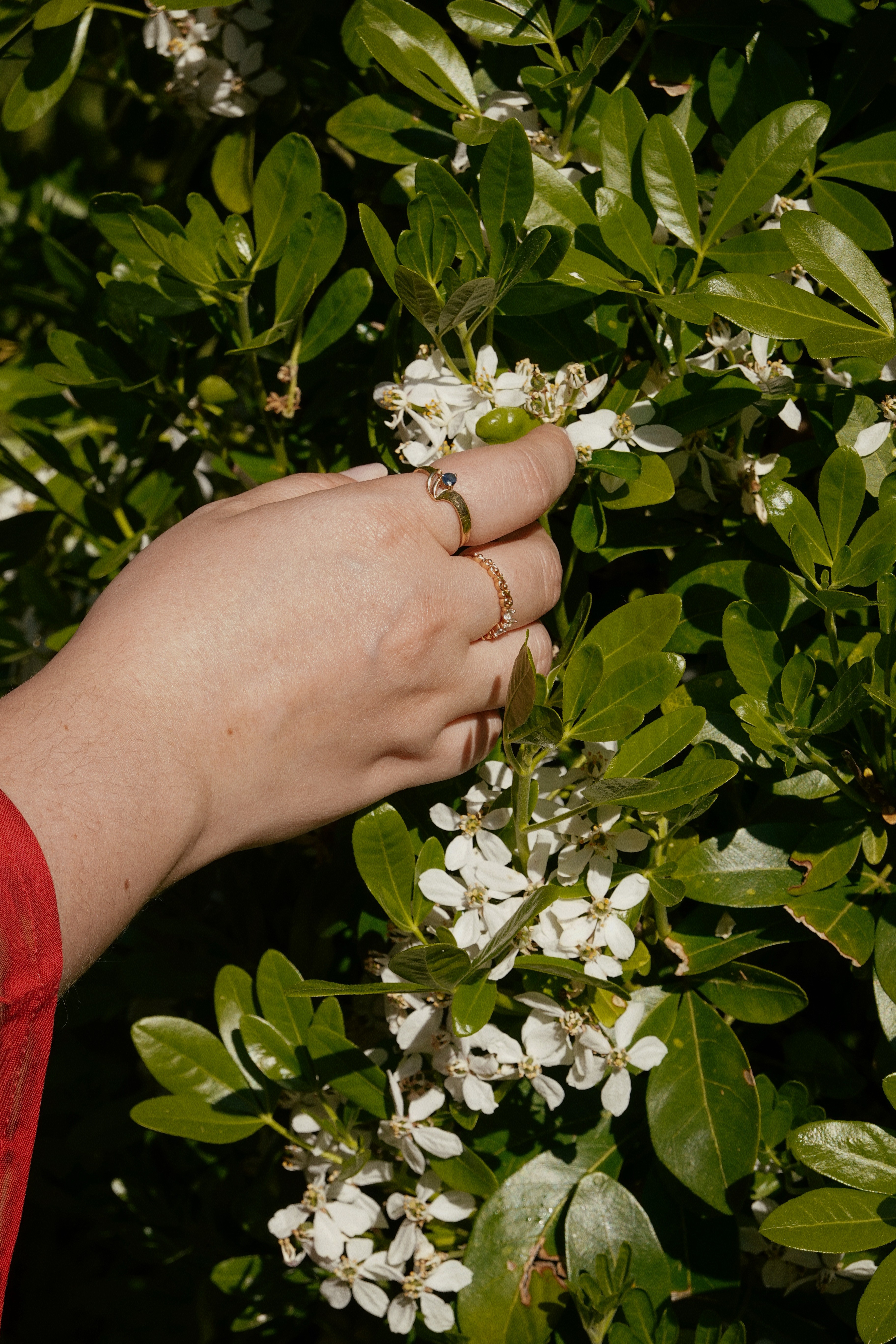 Women portrait image