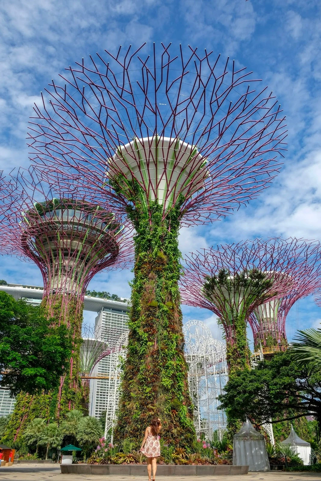 Singapore Vietnam Tour Package