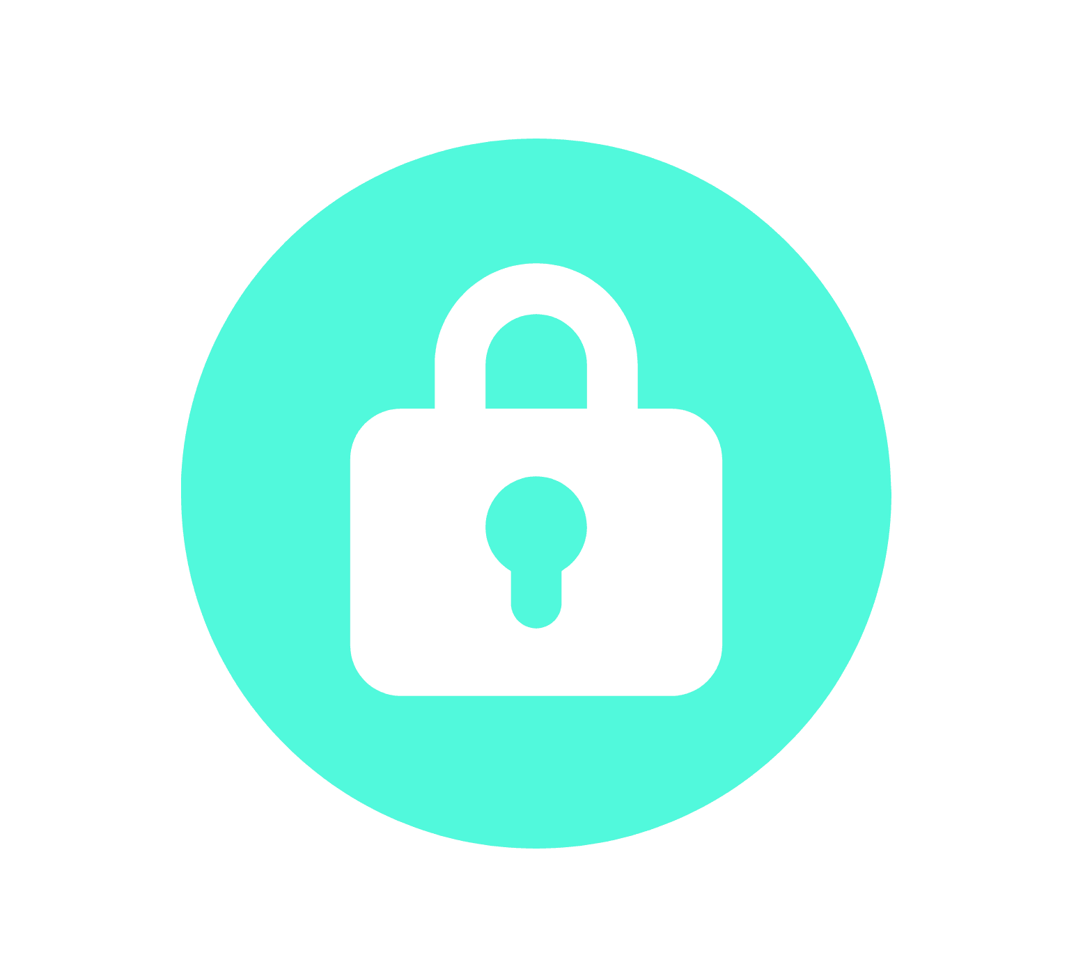Shopify Logo
