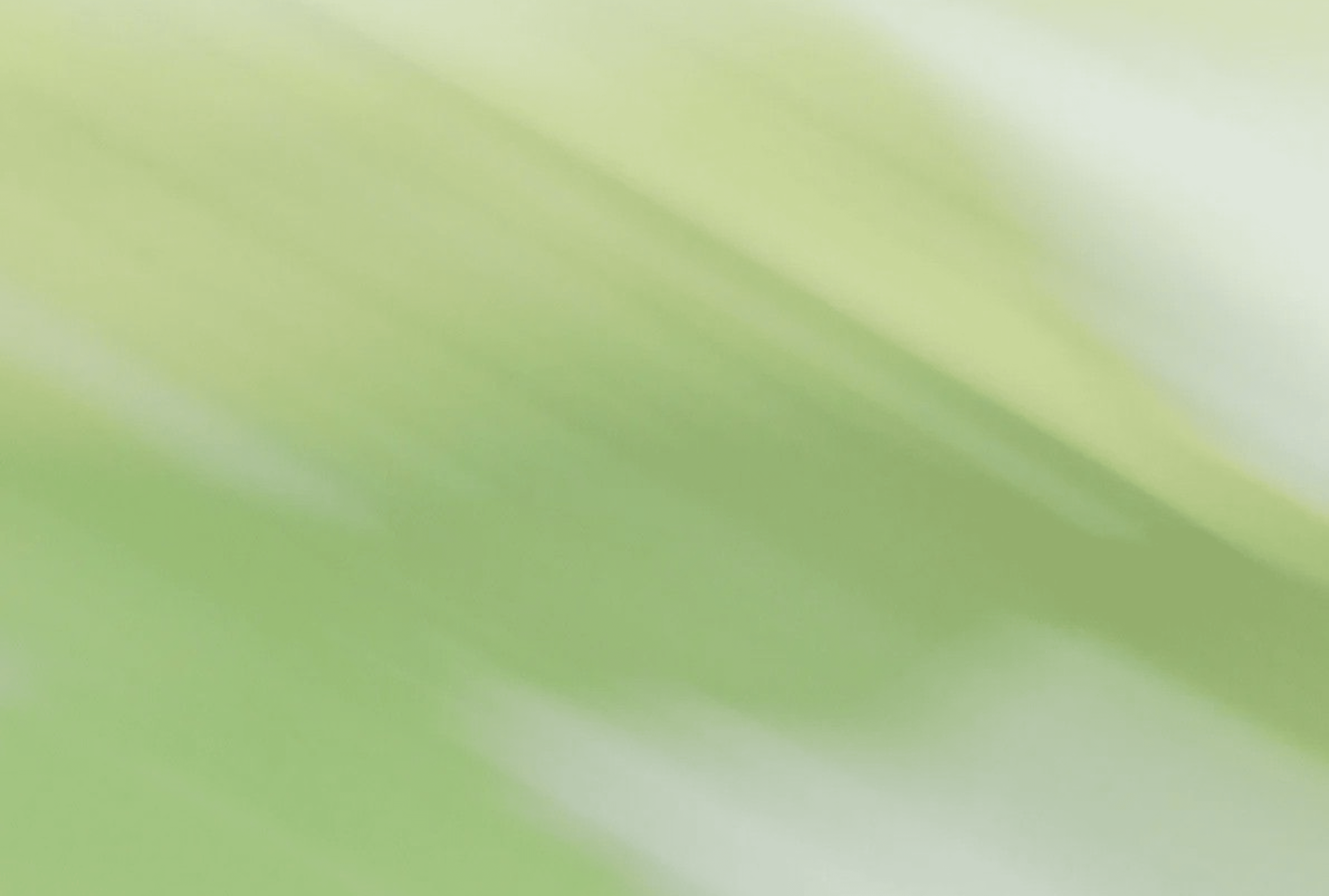 a pink background with a curved corner