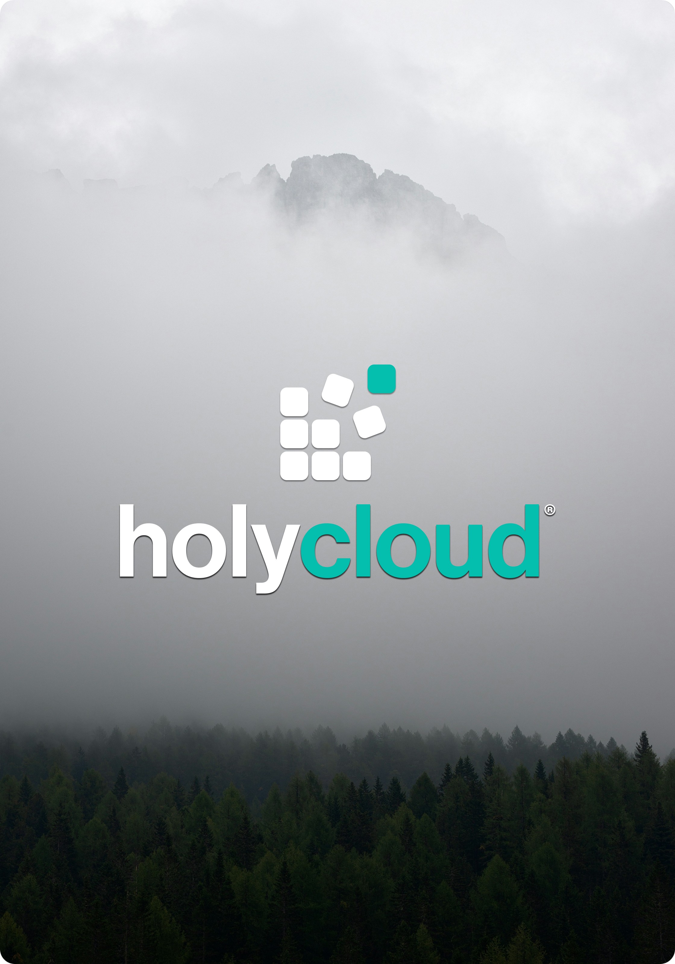 Holycloud GmbH Cloud Agile IT Planning Unternehmensberatung