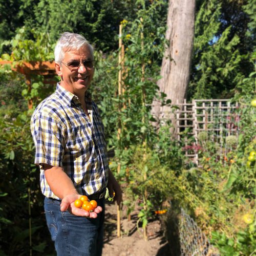 Owner showing off his ripe tomatoes