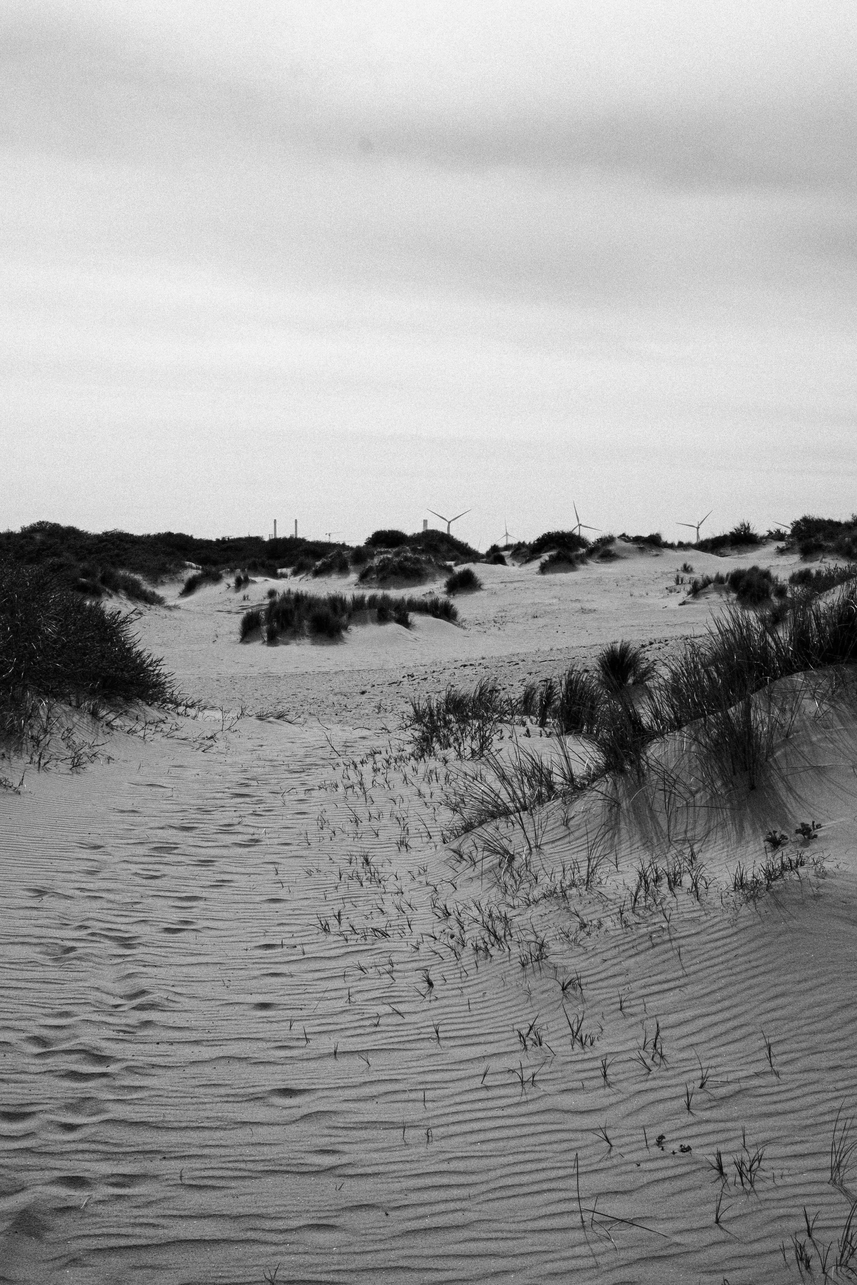A sandy beach with a wind turbine in the background