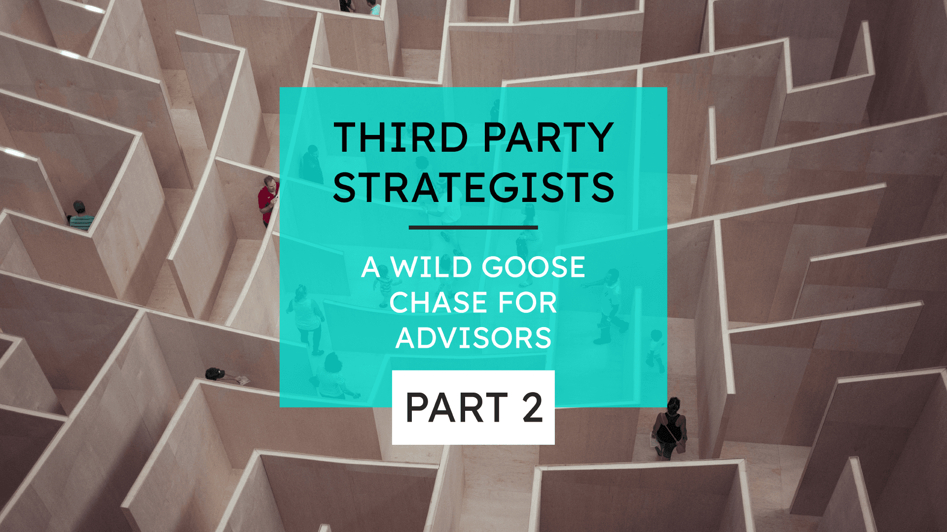 20210812 A Wild Goose Chase for Advisors