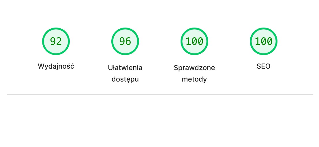 Statystyki wydajności strony w Google Page Speed Insights