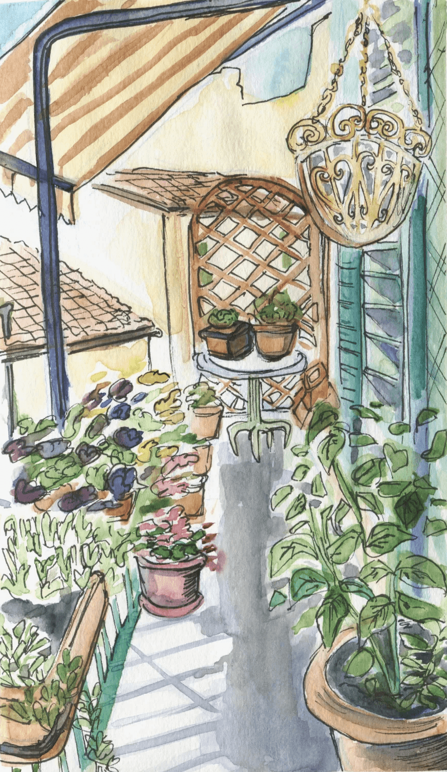 Back Porch Illustration