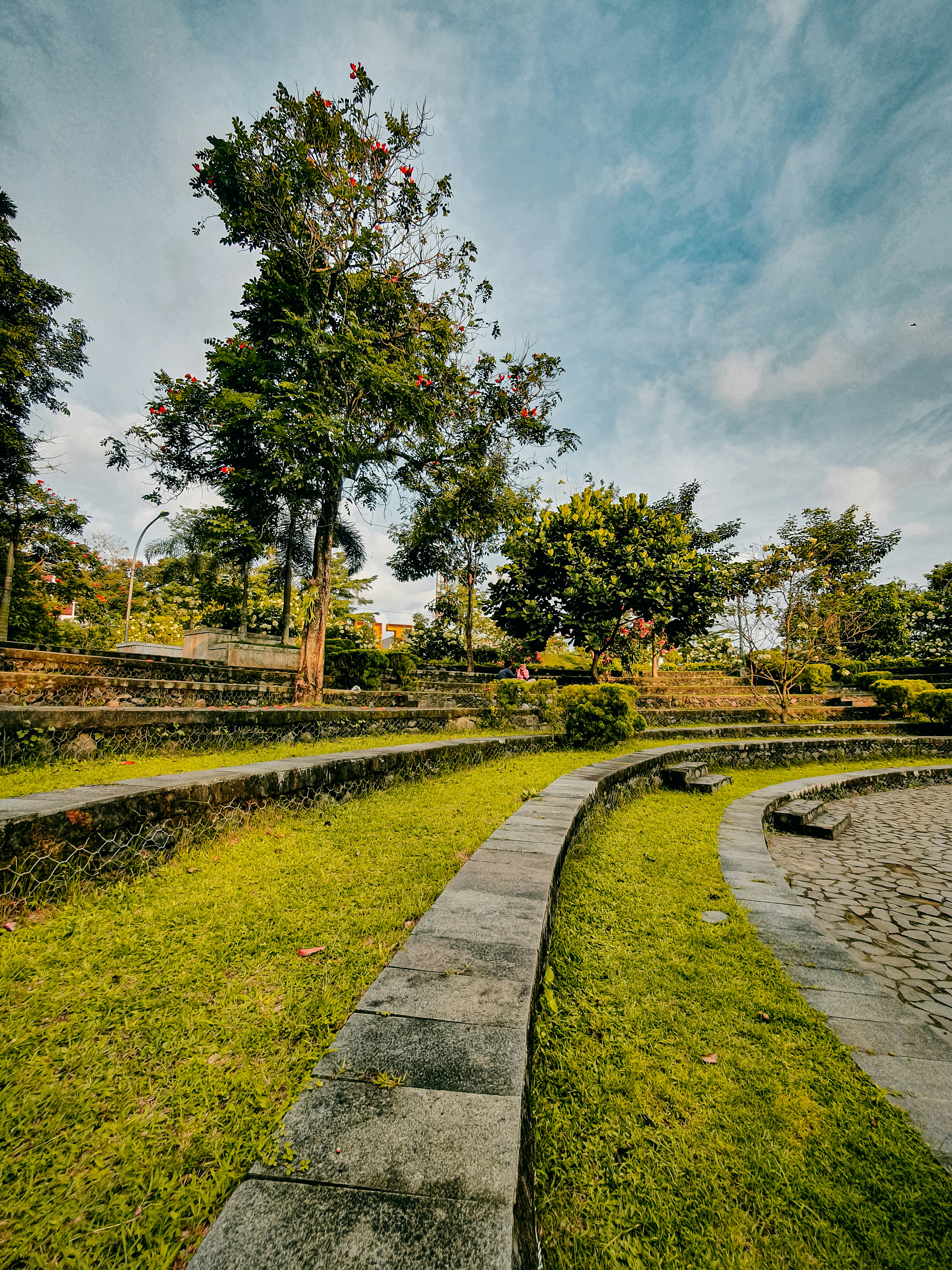 a path with grass and trees on the side