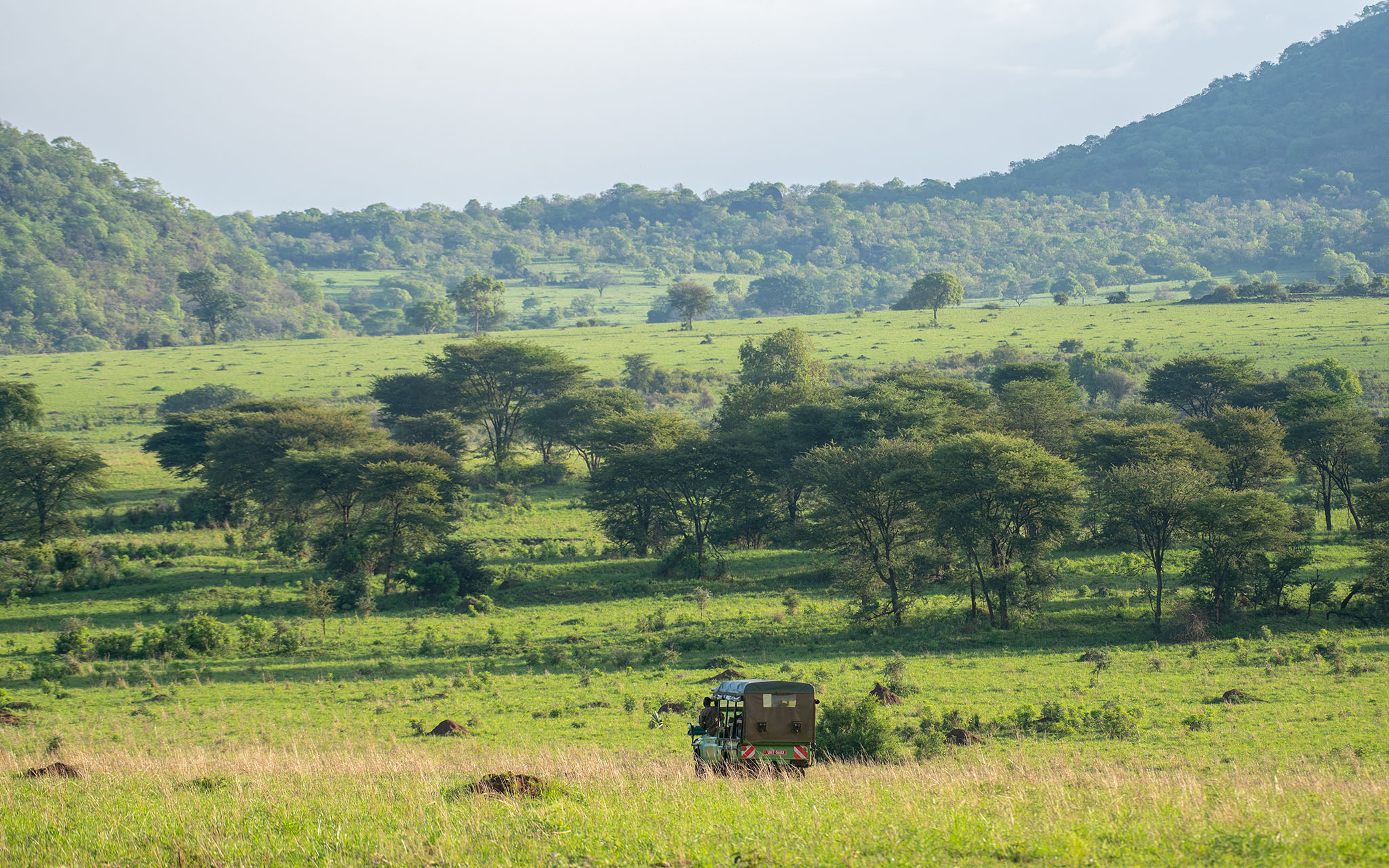 Tourists on a game drive in Kidepo Valley National Park exploring the plains