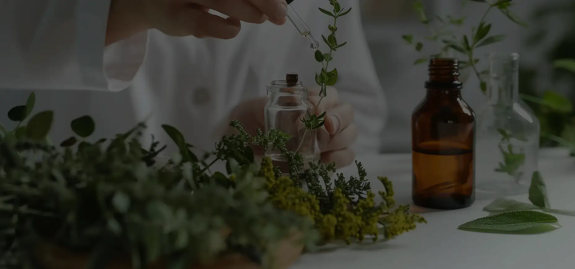 A person in a white lab coat uses a dropper to add liquid to a small glass jar amidst various fresh green herbs and amber essential oil bottles.