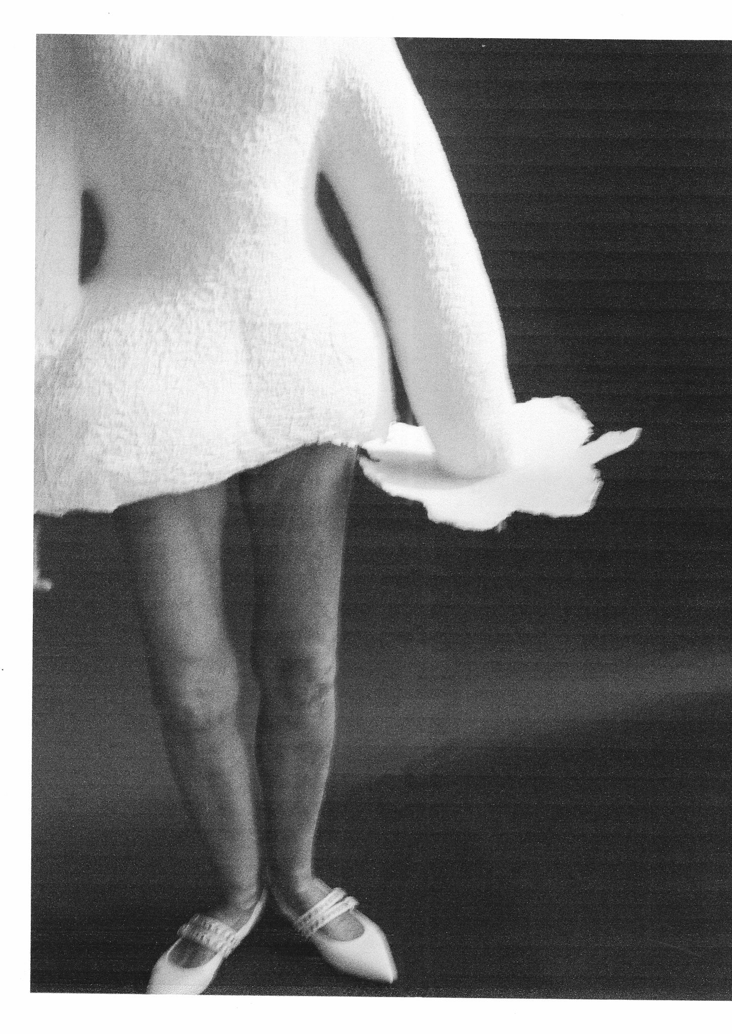 Karin Knoth Wienerin