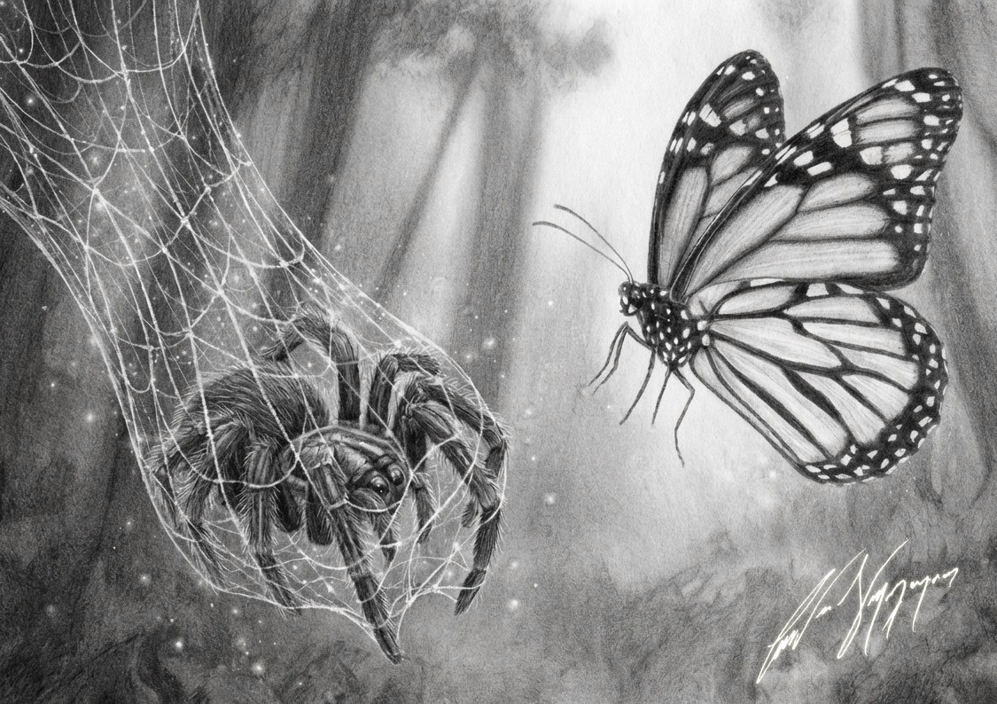 The Butterfly's Web - B&W