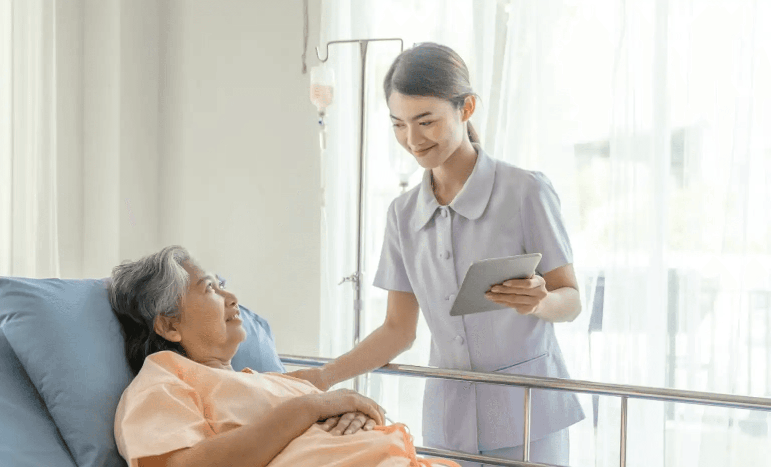 전국 의대 순위, 간호대 순위, 약대 순위, 수의대 순위, QS 세계 대학 순위