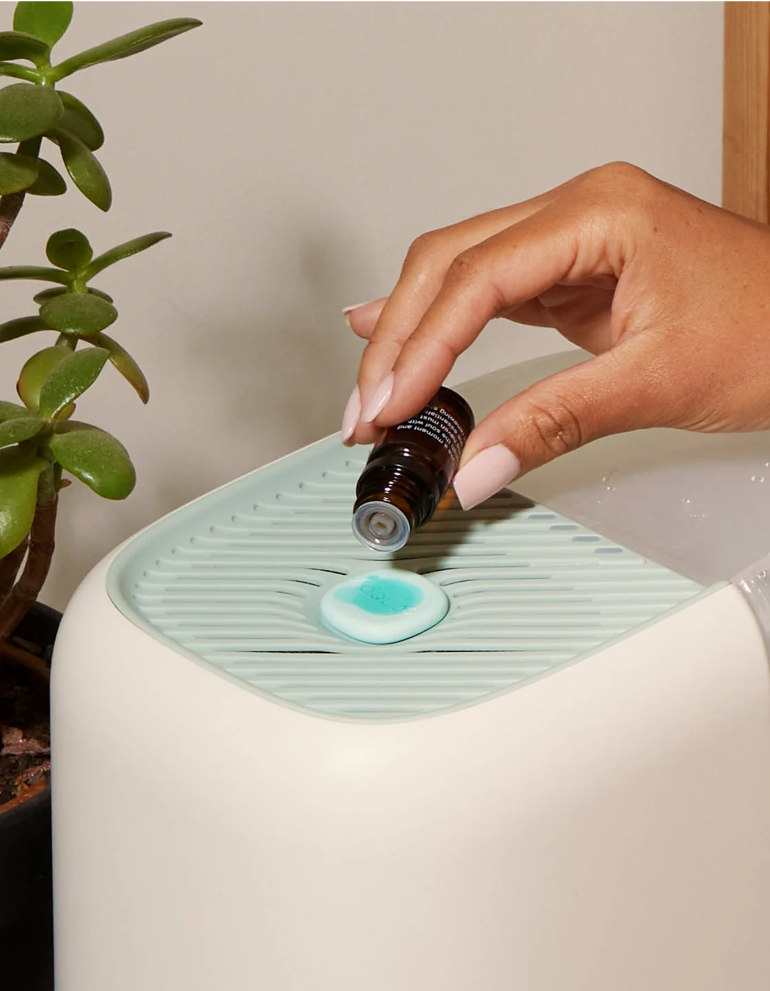 Canopy humidifier