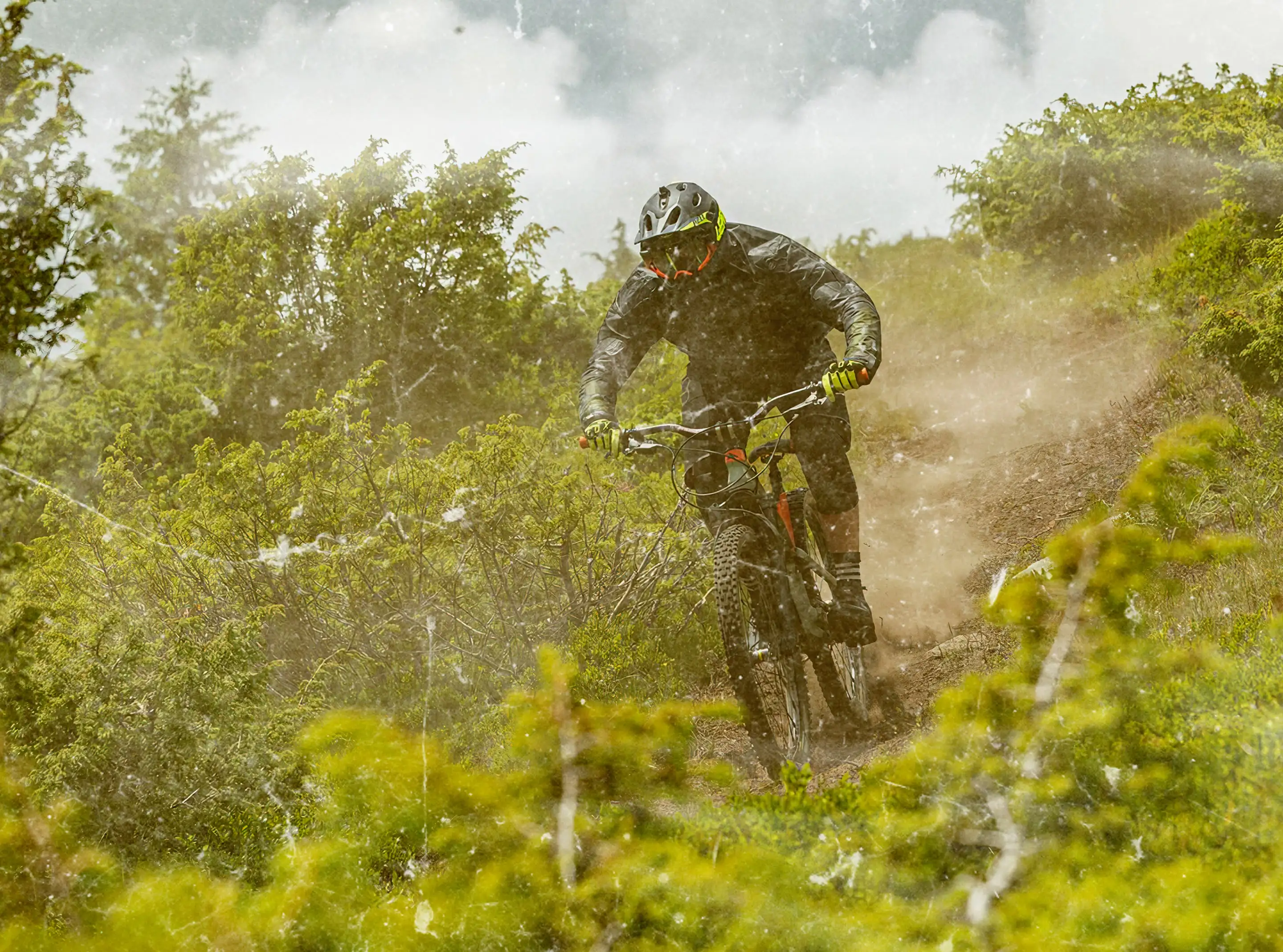 Picture with a cyclist on WERIDE trails. The photo has a grunge filter applied and a yellow tint