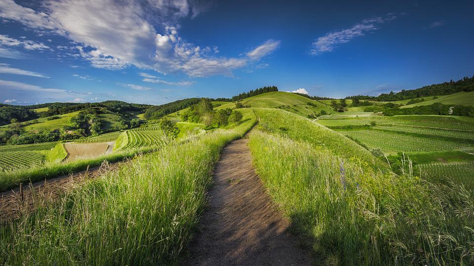 Landschaft grünes Gras, blauer Himmel Wegführend
