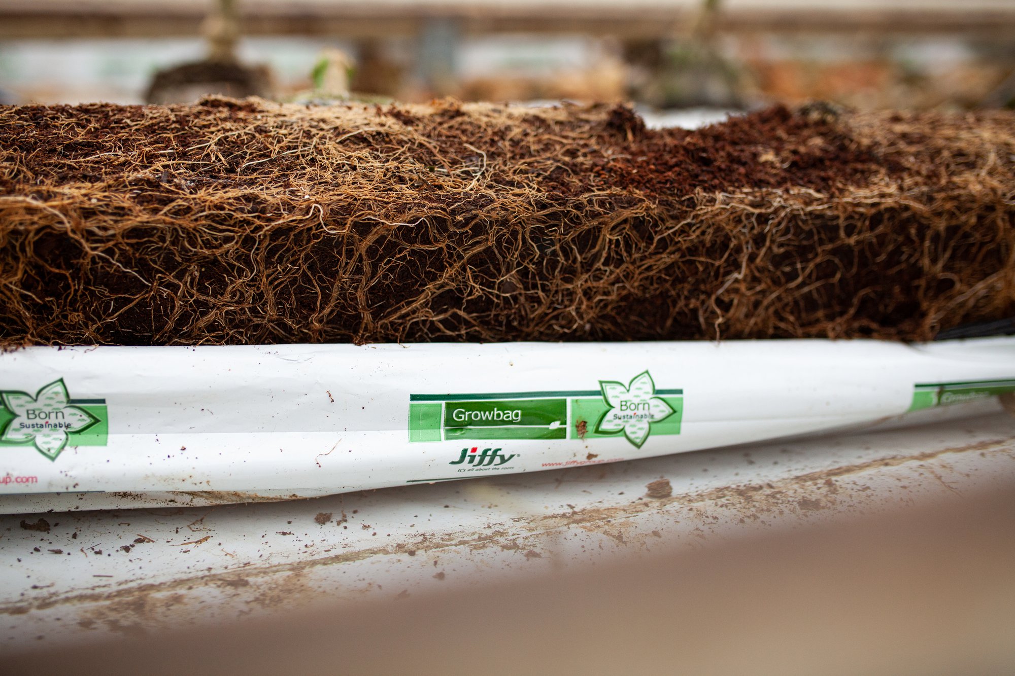 Jiffy Growbags