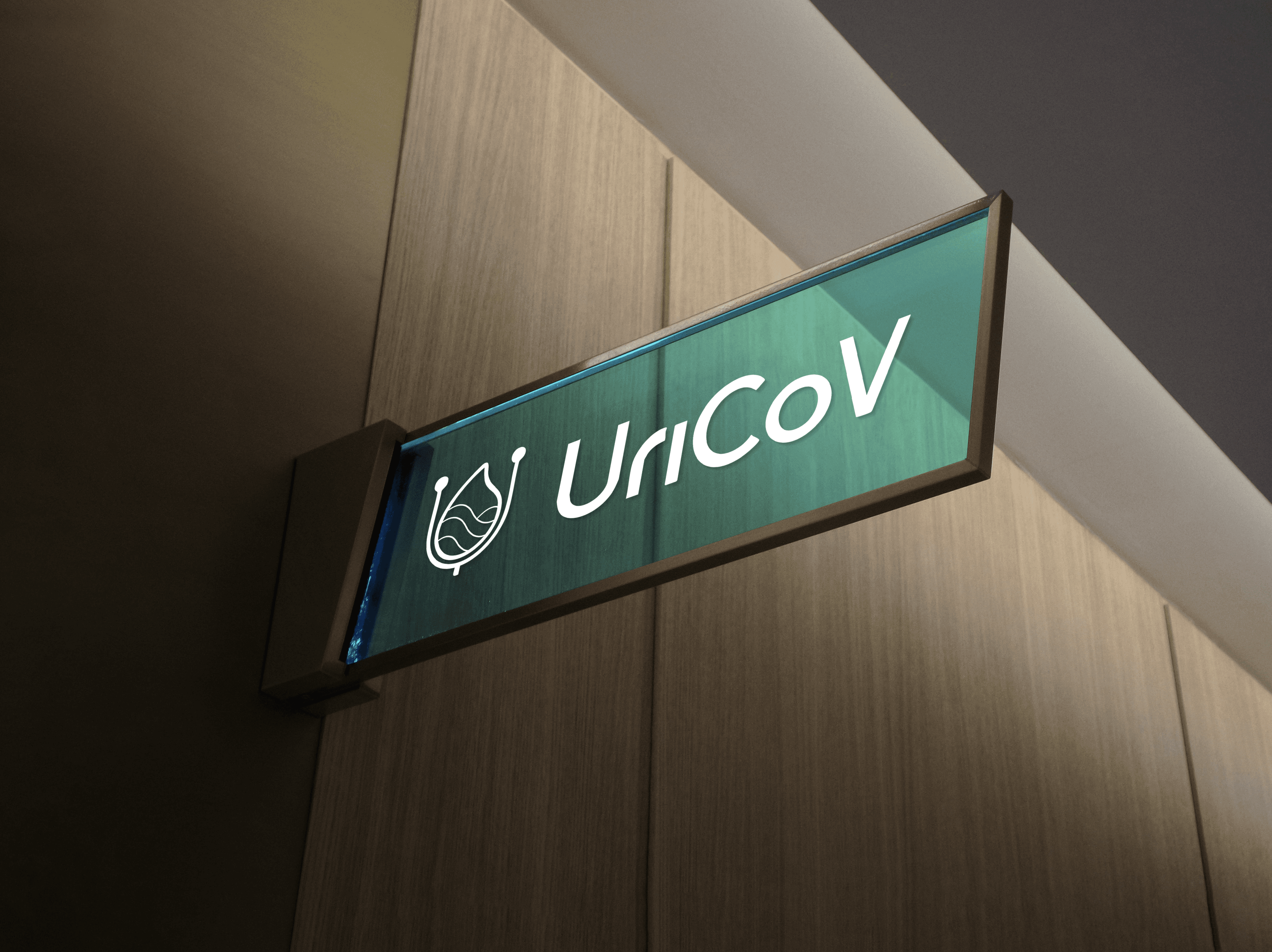 Brand Identity