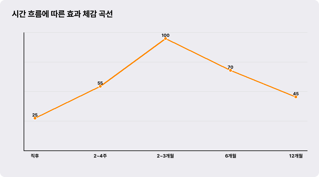 시간 흐름에 따른 효과 체감 곡선