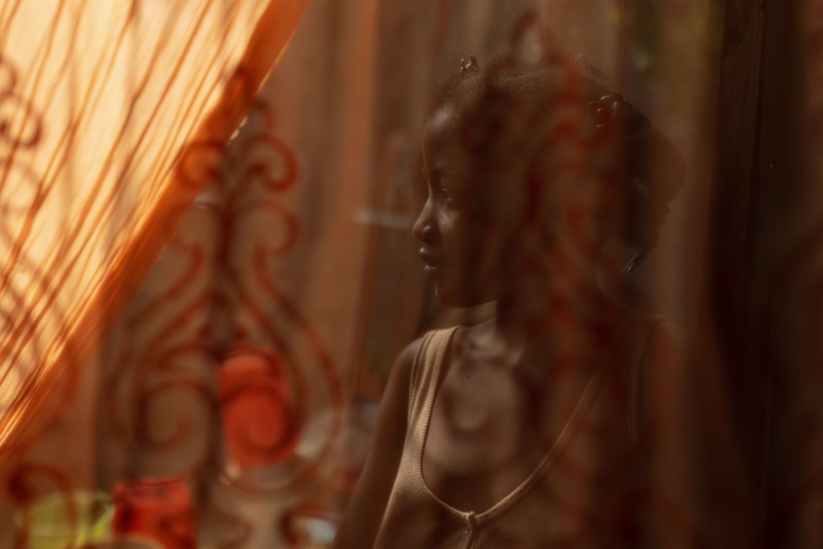 Brown Shinny interior