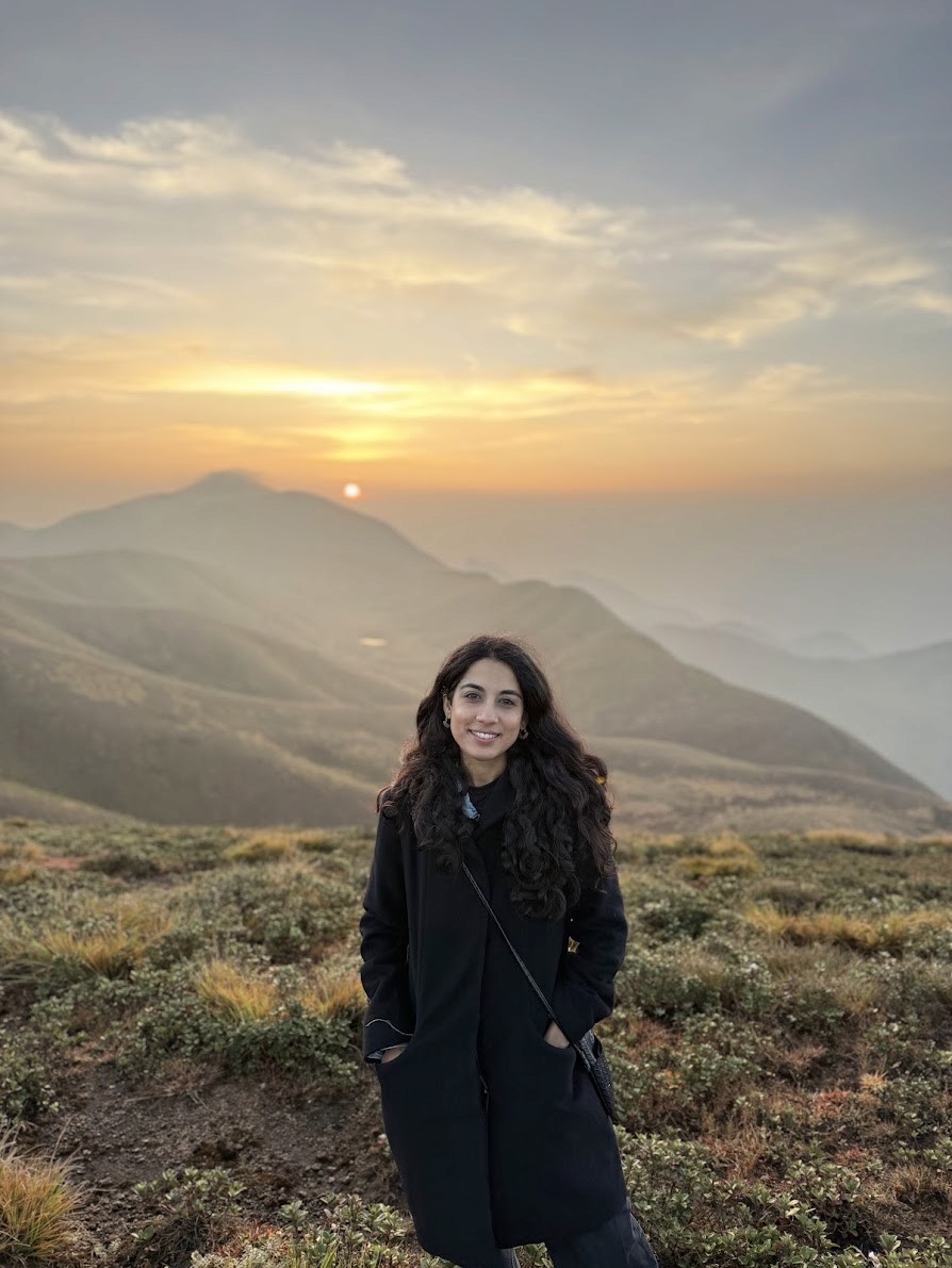 Modern home office setup with a monitor, ergonomic chair, keyboard, and indoor plants near a window with blinds.