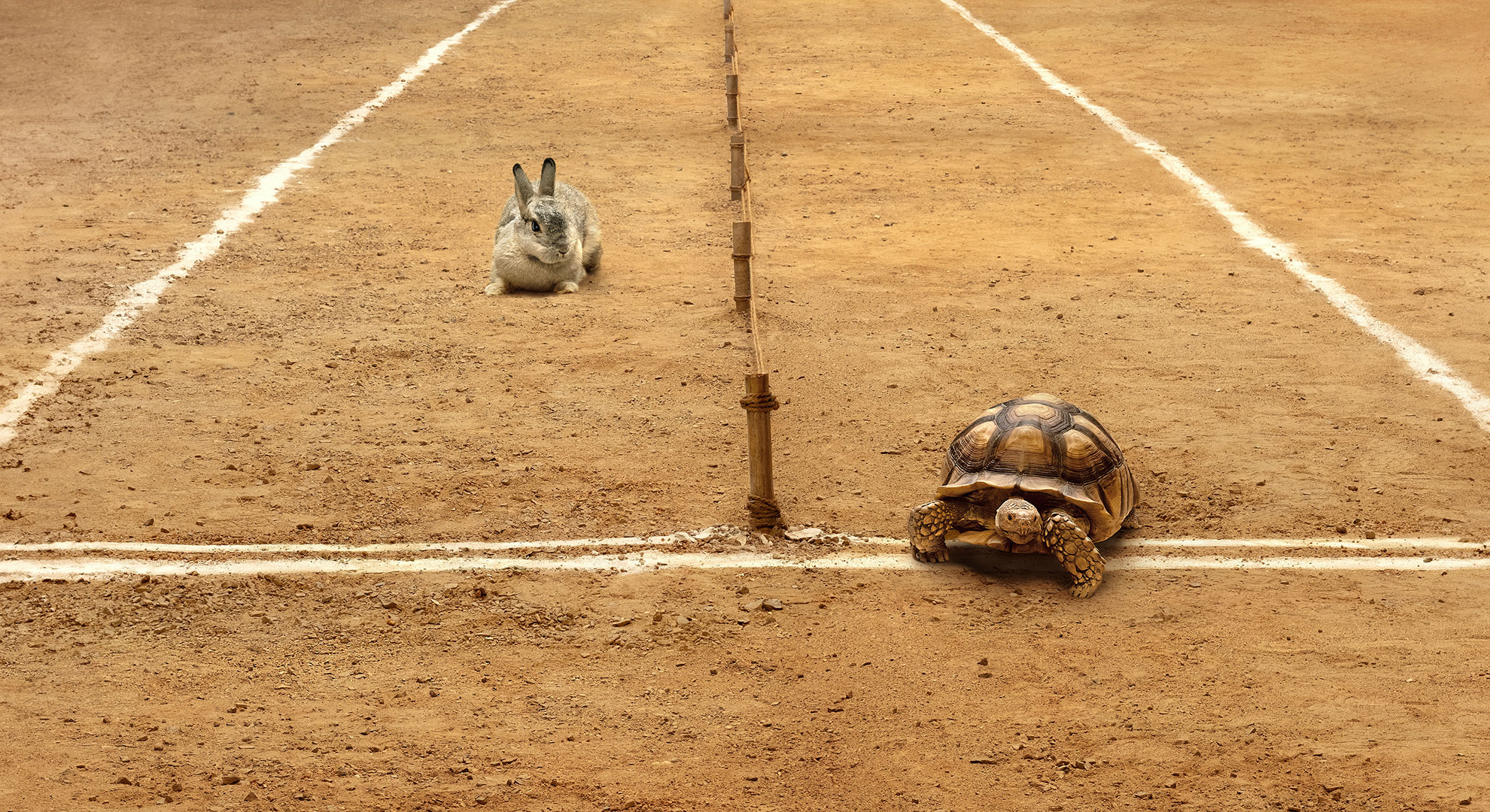 Hard Worker Construction Chemicals Brand advertisement -  Hare and Tortoise story retold