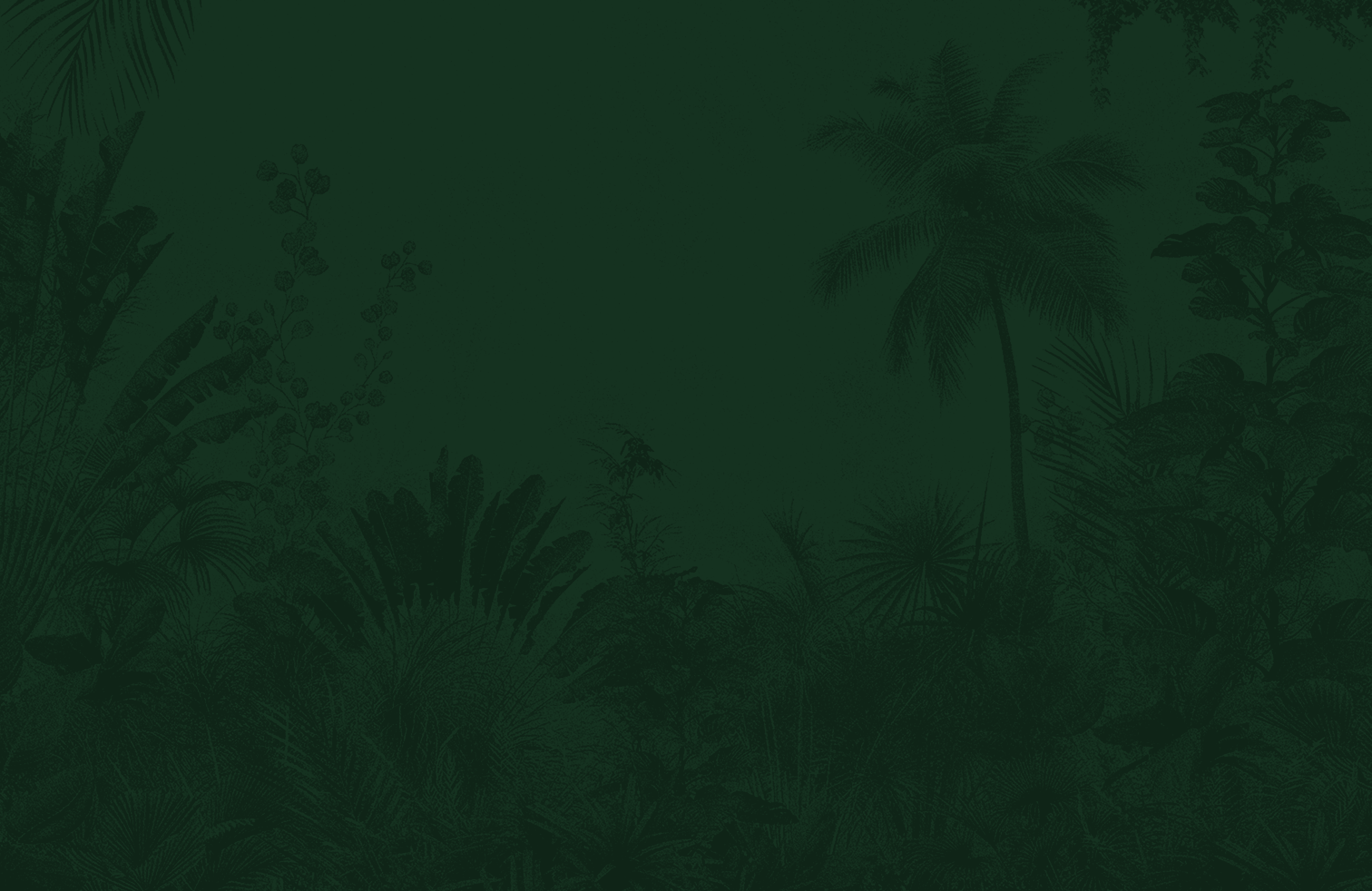 Background Header: imagem interna do bar com alguns bancos e mesa ao fundo.